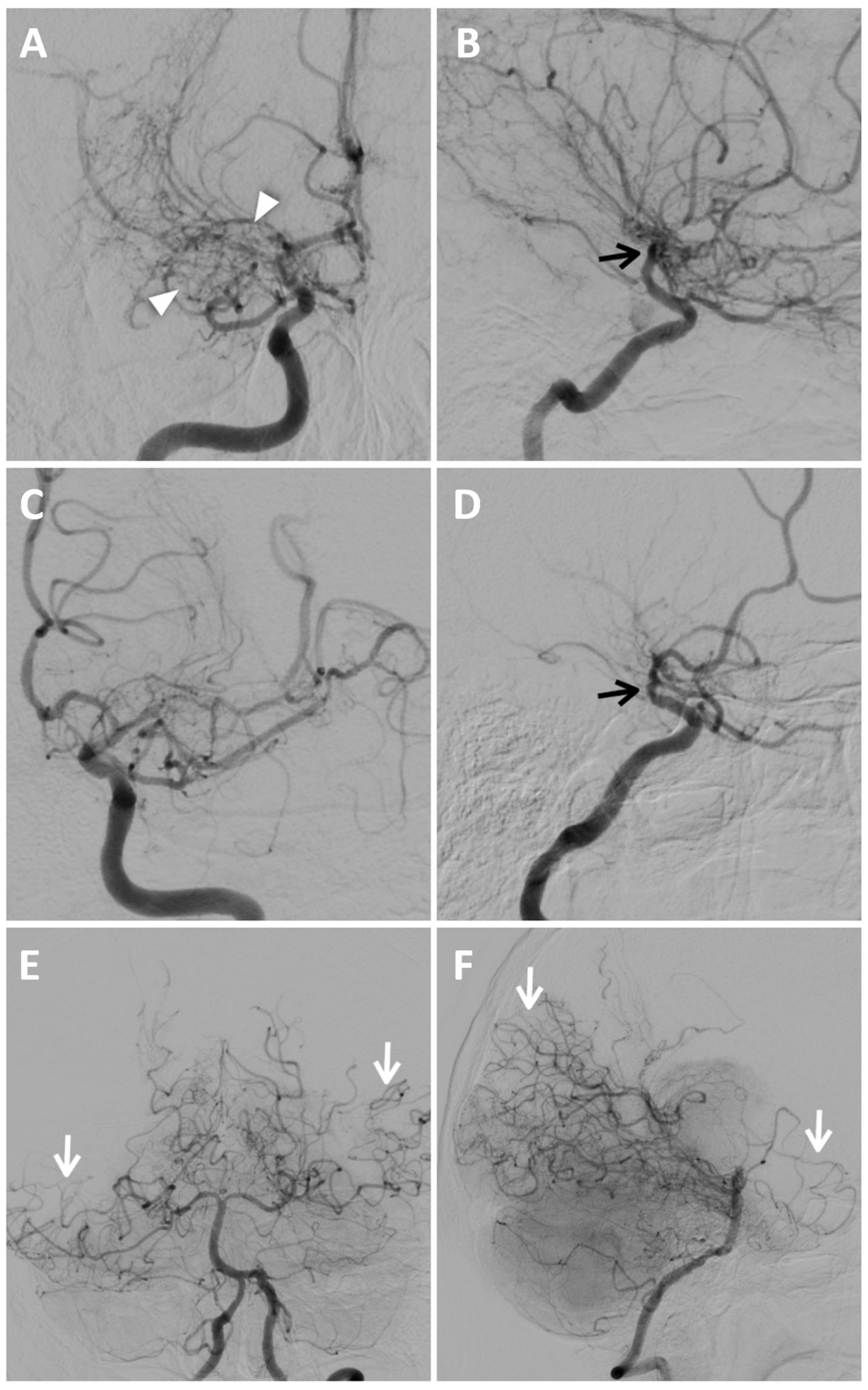 Reports 08 00232 g005