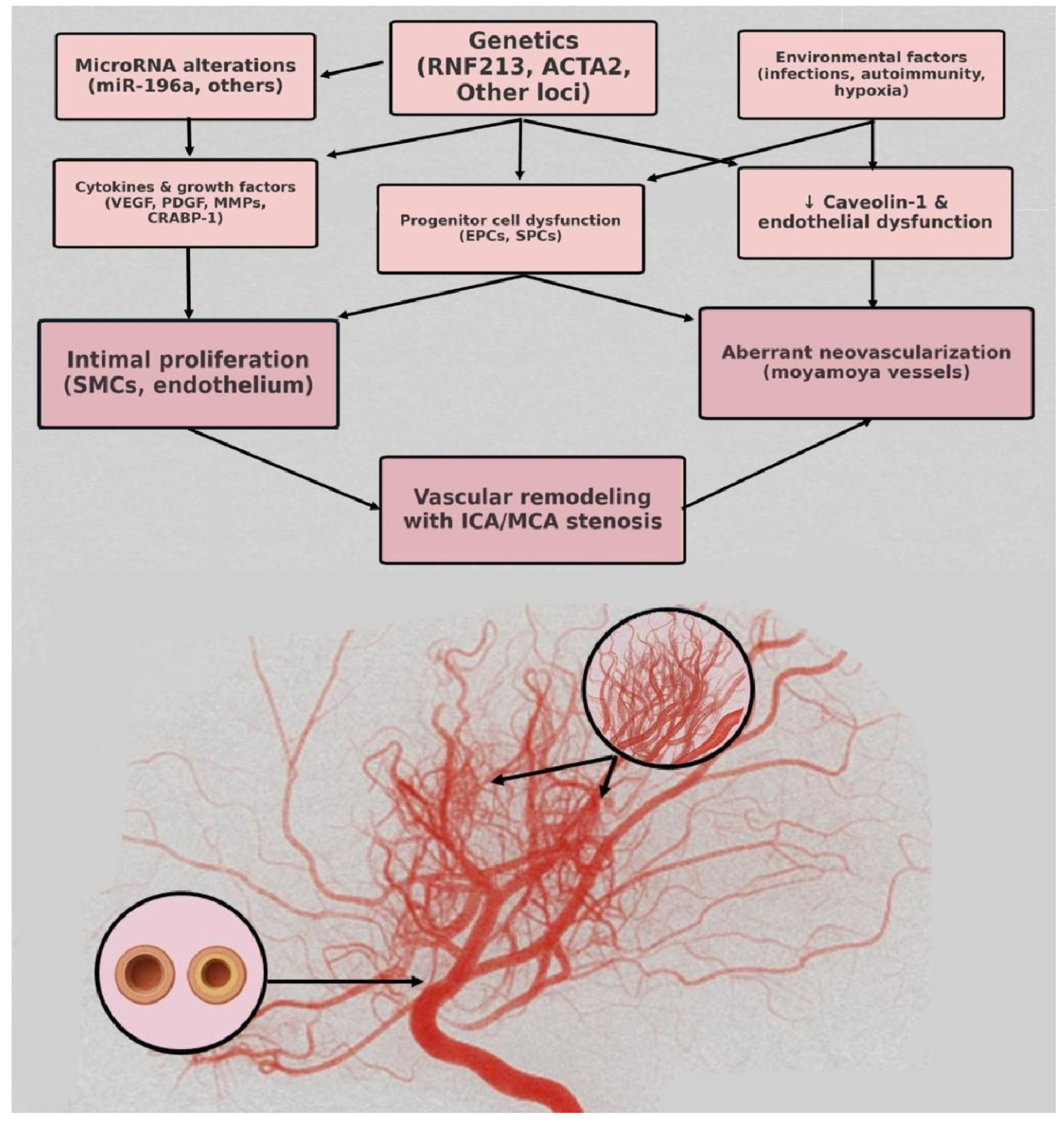 Reports 08 00232 g006