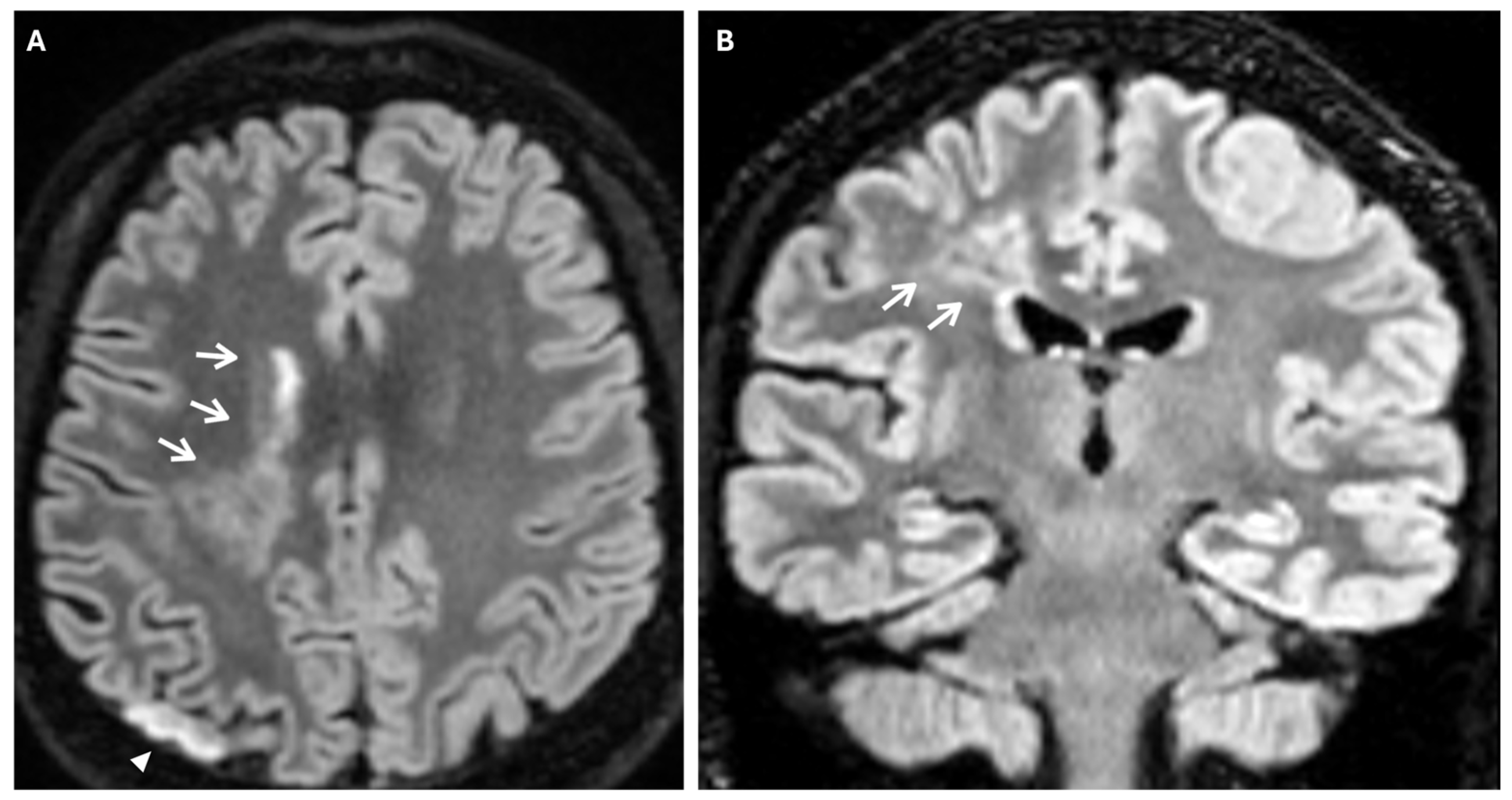 Reports 08 00232 g007