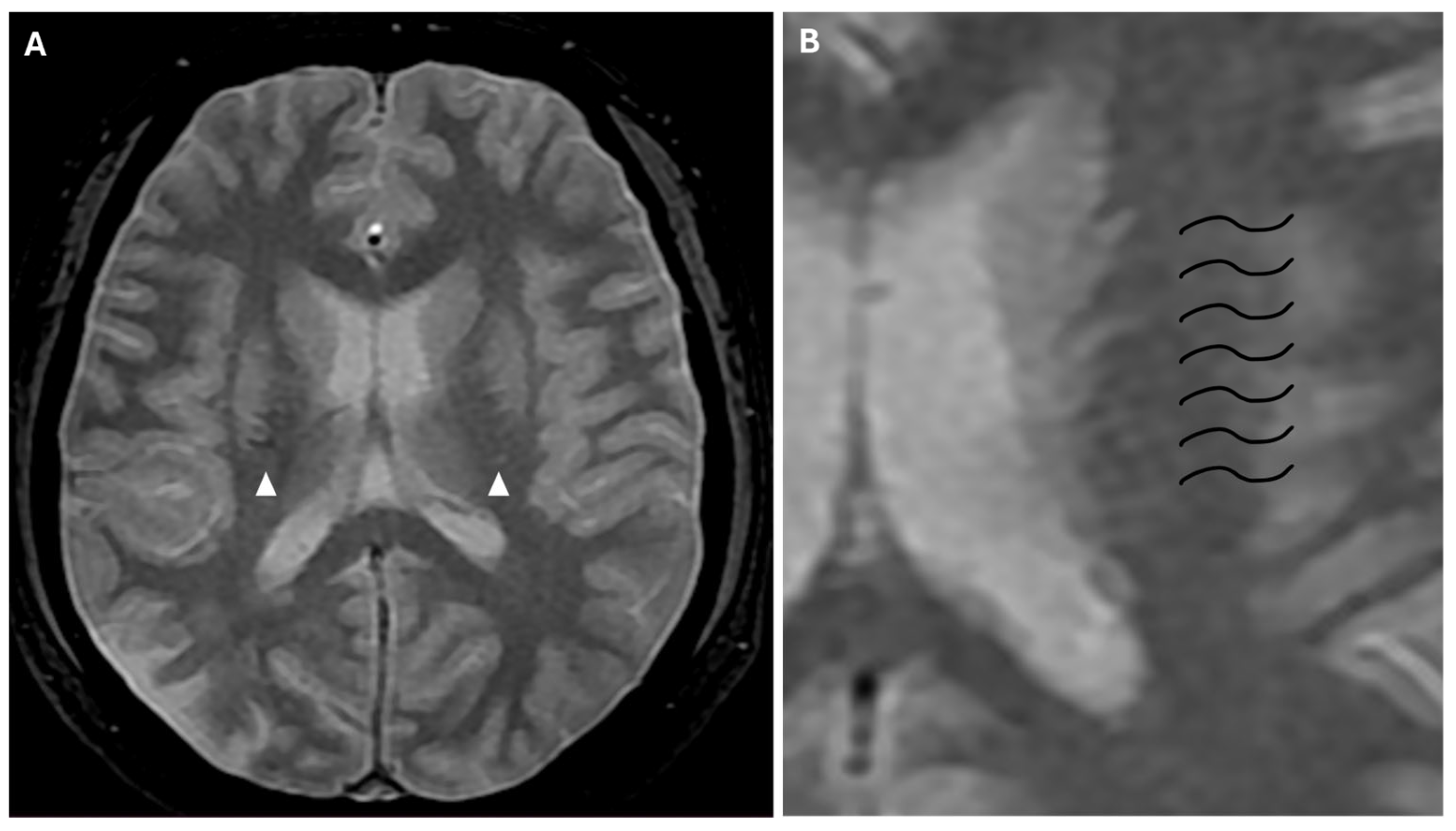 Reports 08 00232 g008