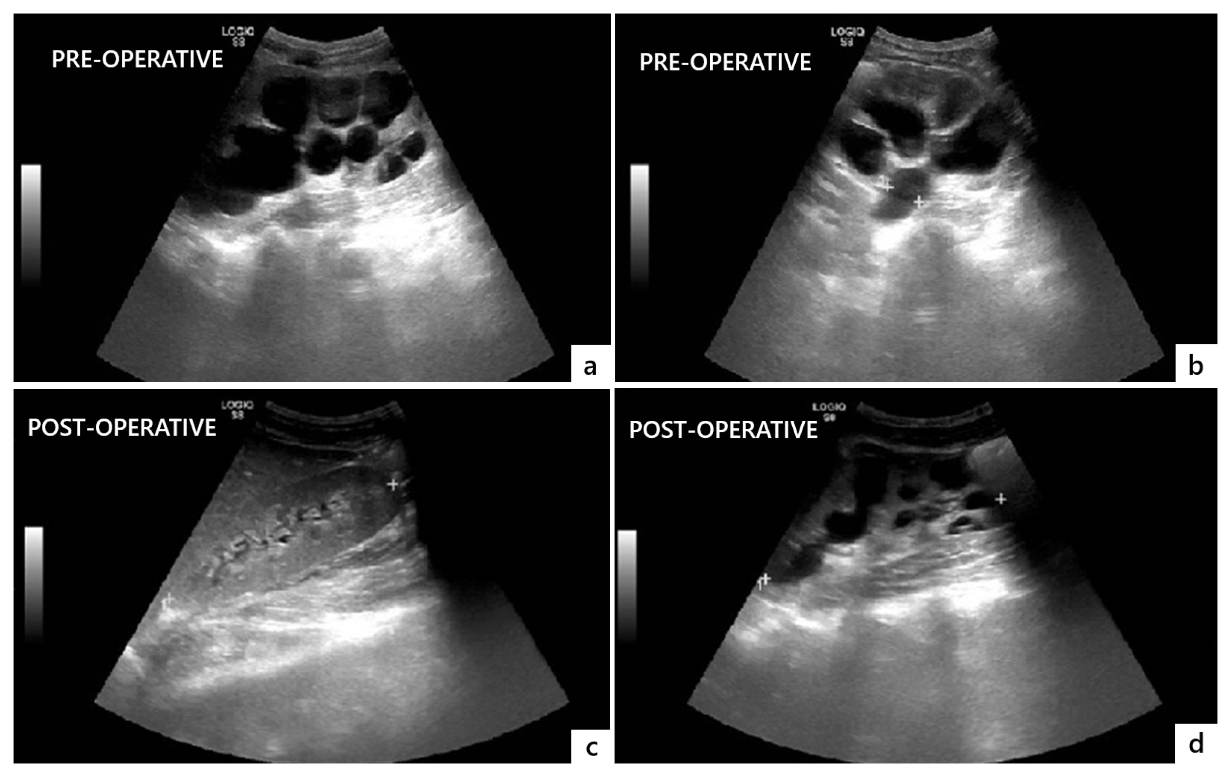 Reports 08 00239 g004