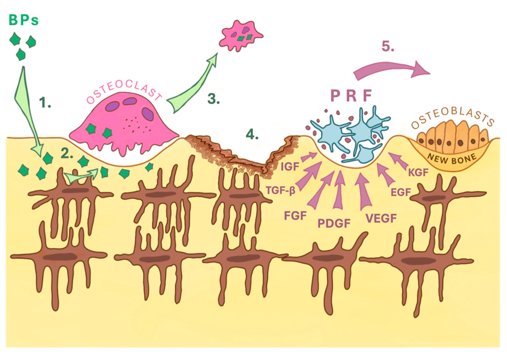 Reports 08 00240 g001