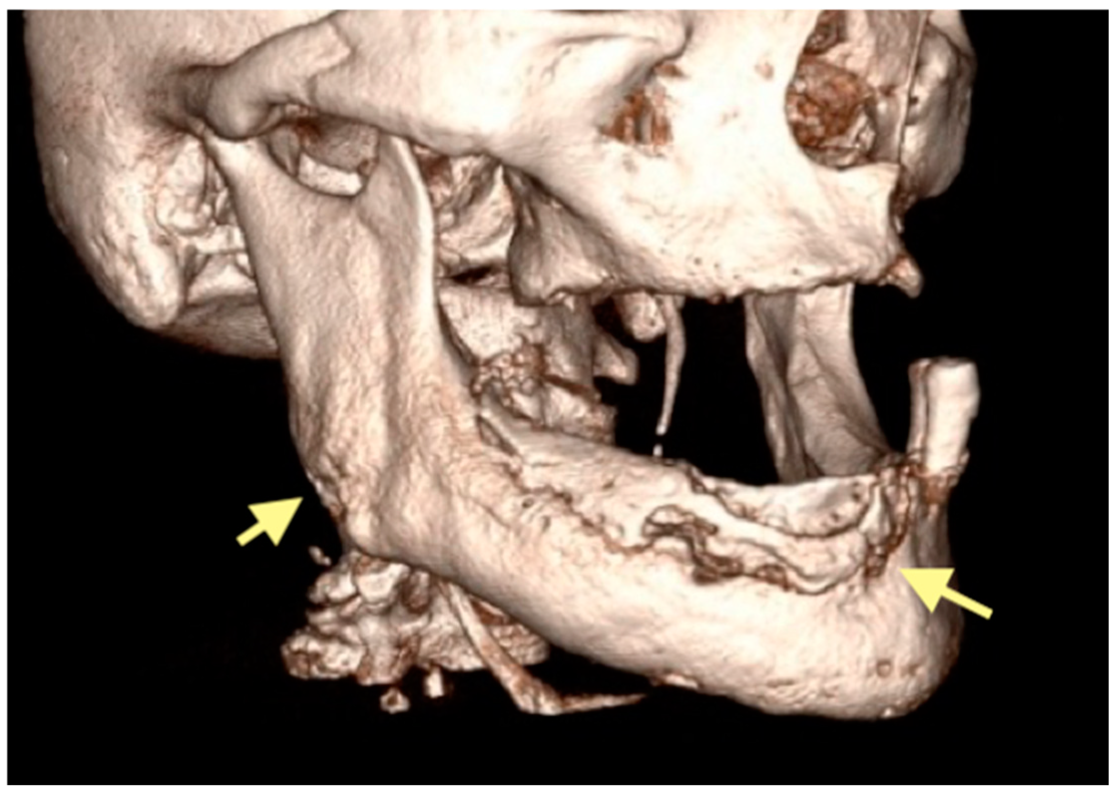 Reports 08 00240 g007