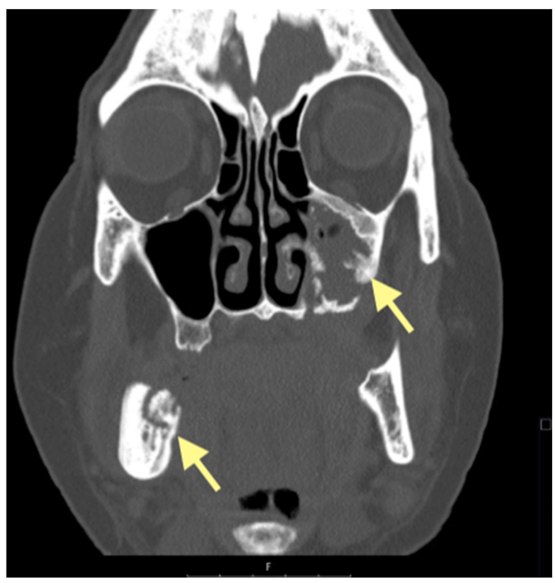 Reports 08 00240 g008