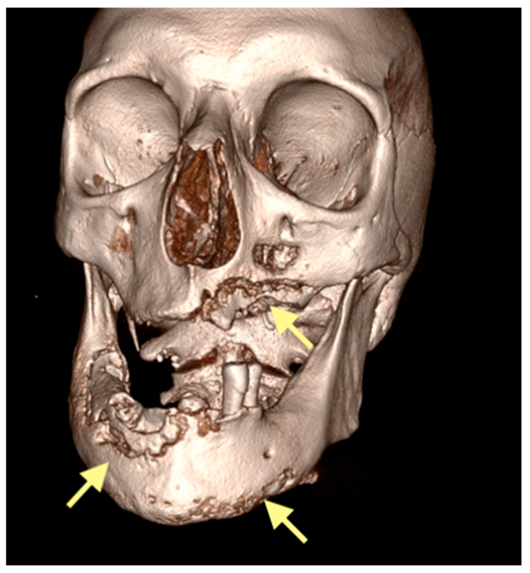 Reports 08 00240 g009