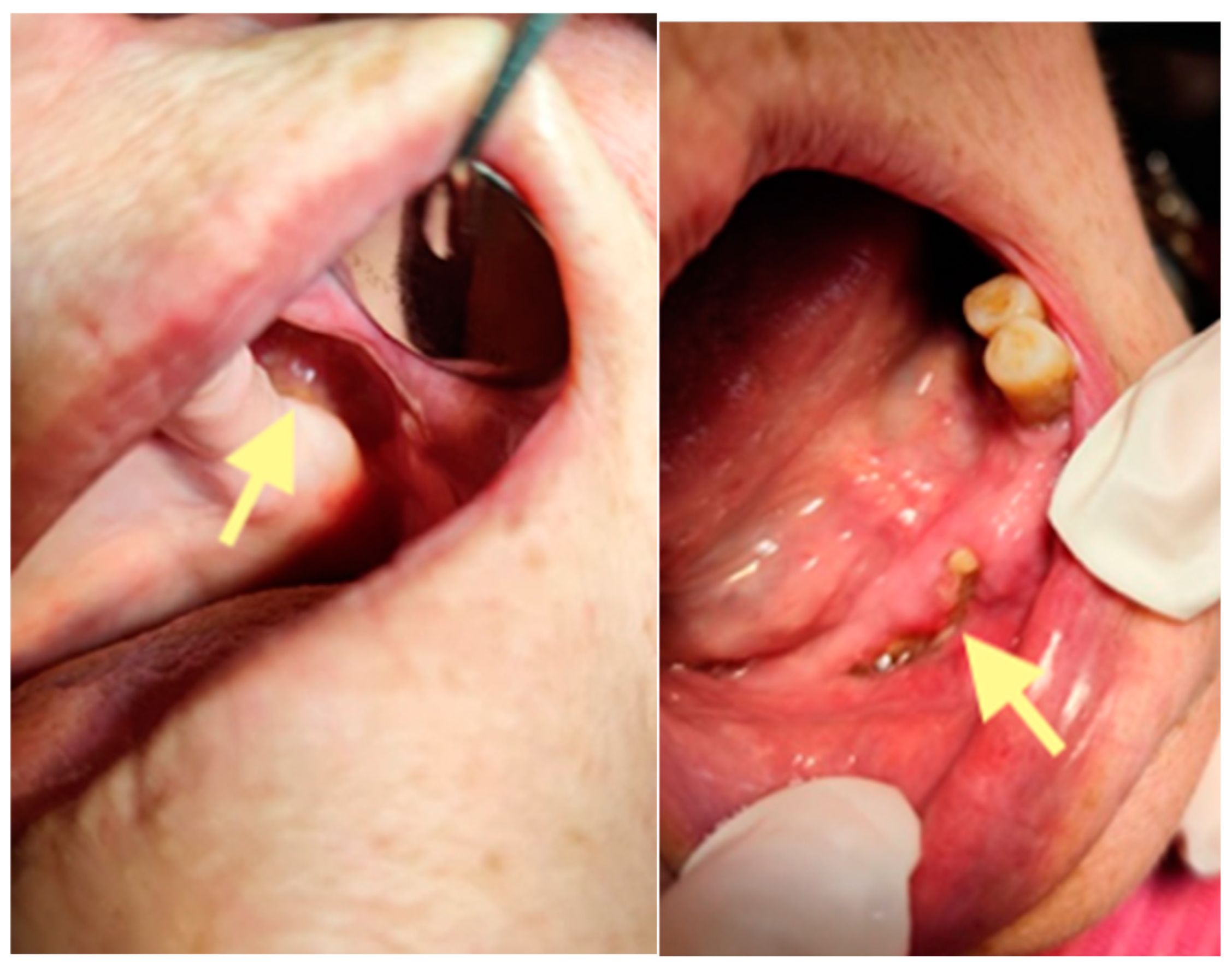 Reports 08 00240 g011