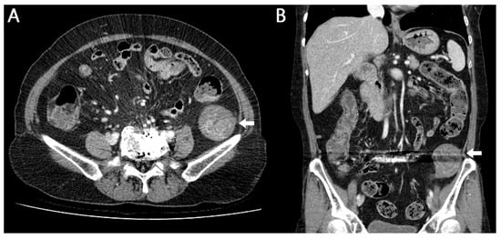 Reports 08 00242 g001