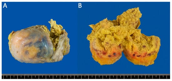 Reports 08 00242 g002