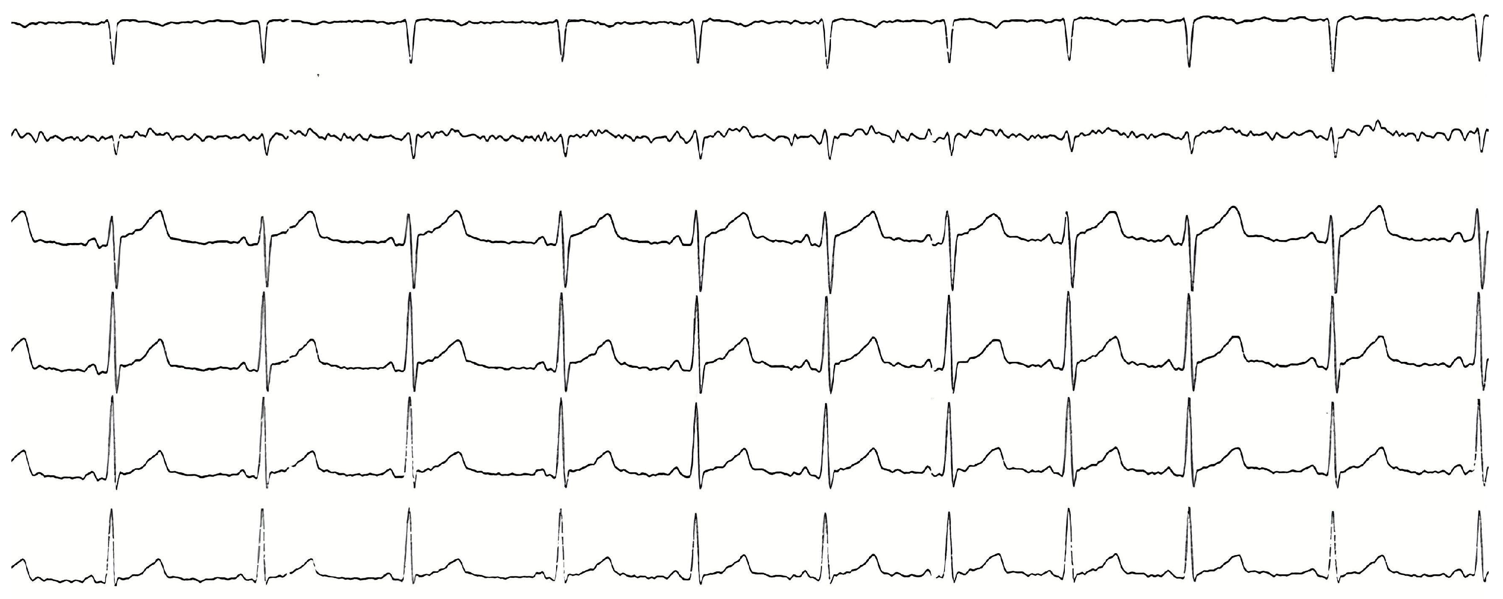 Reports 08 00264 g002