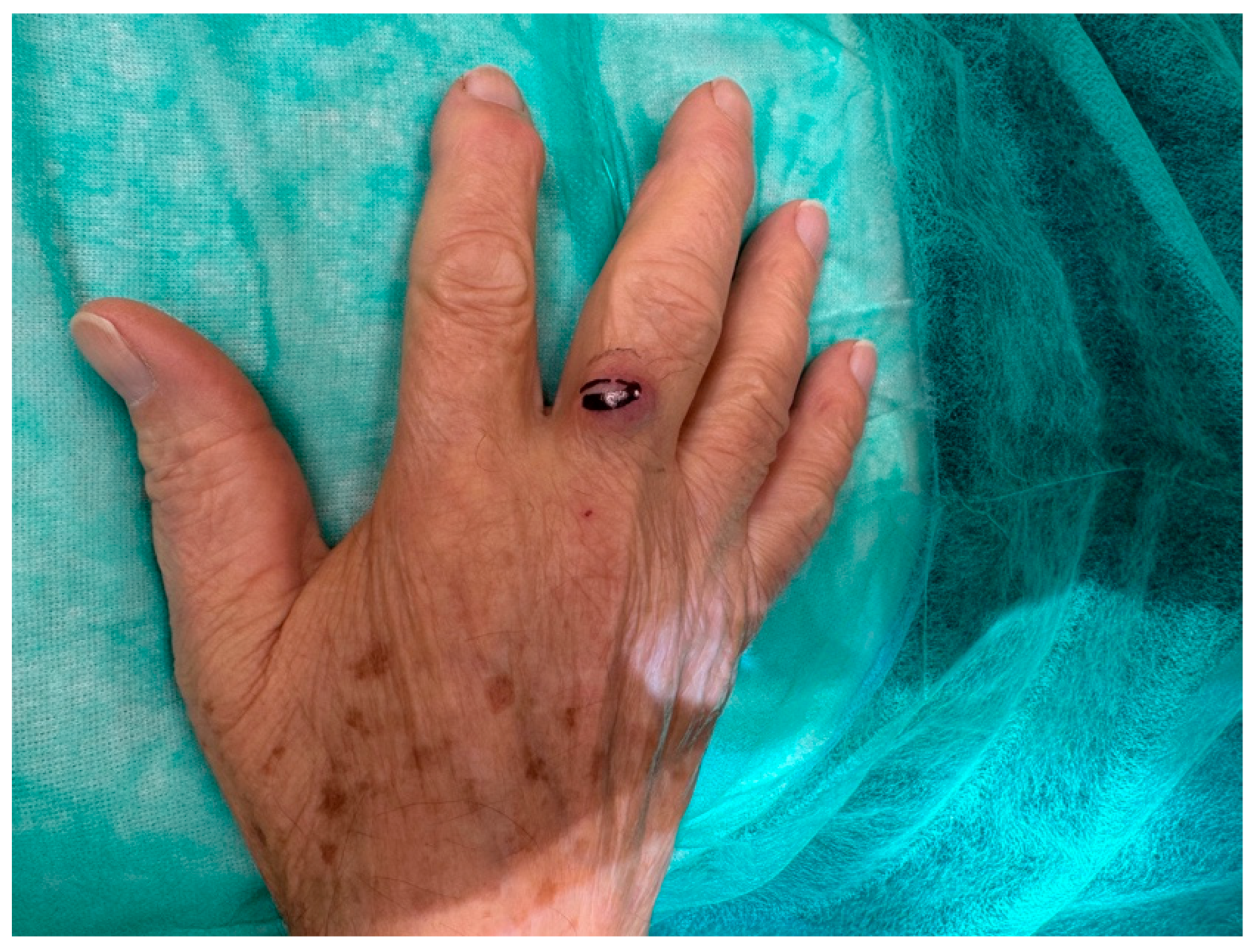 Reports 09 00043 g002 Reports 09 00043 g002