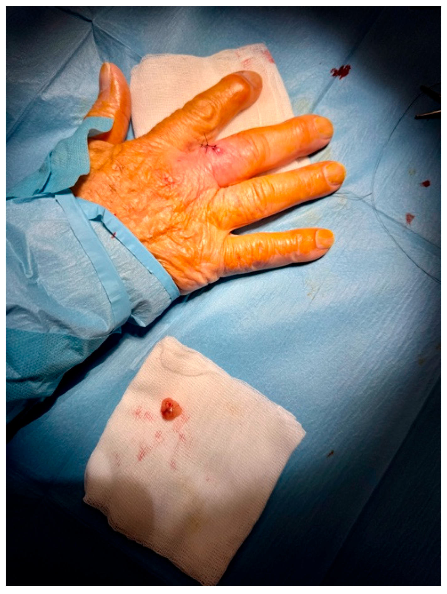 Reports 09 00043 g004 Reports 09 00043 g004