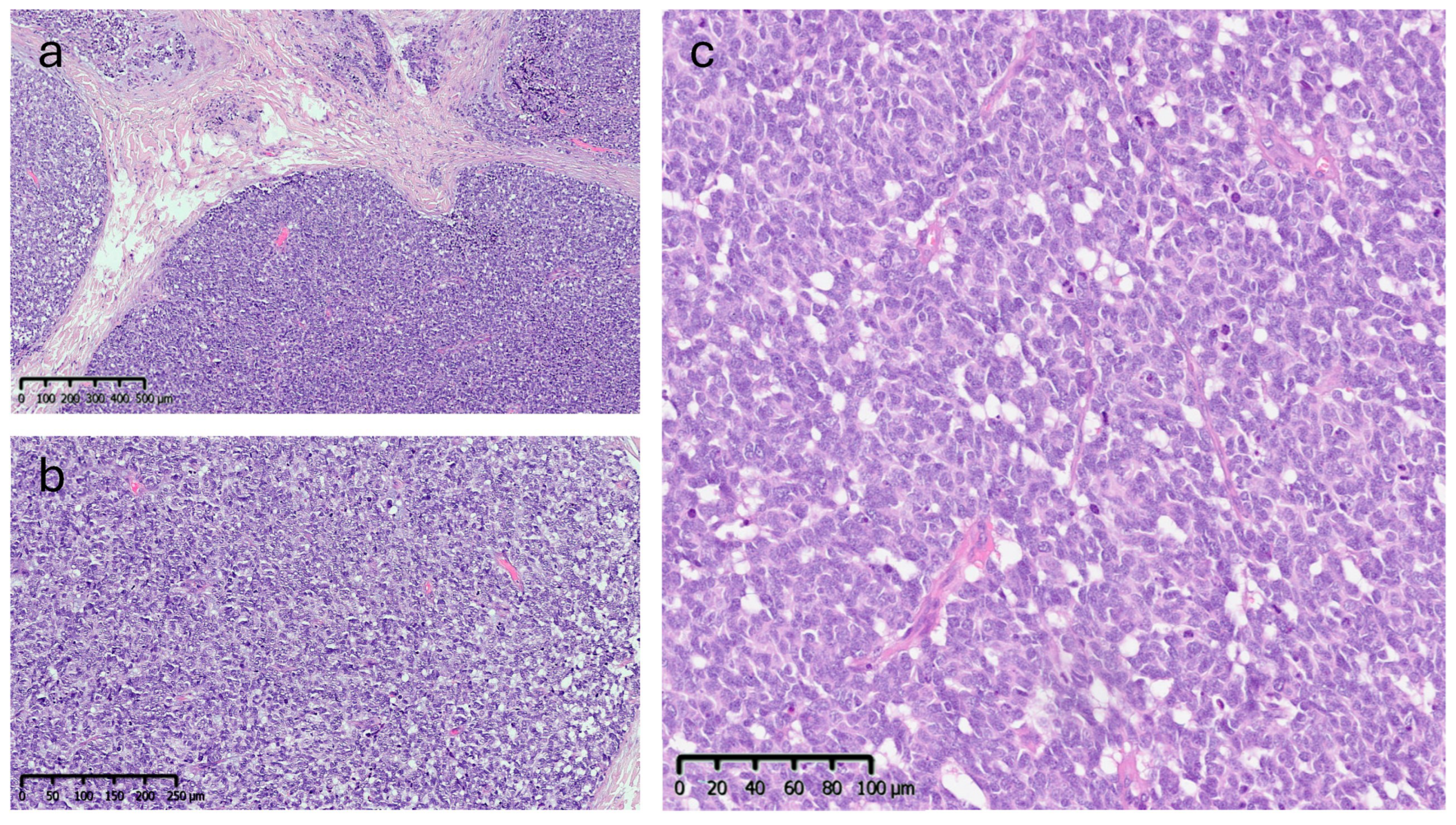 Reports 09 00043 g005 Reports 09 00043 g005