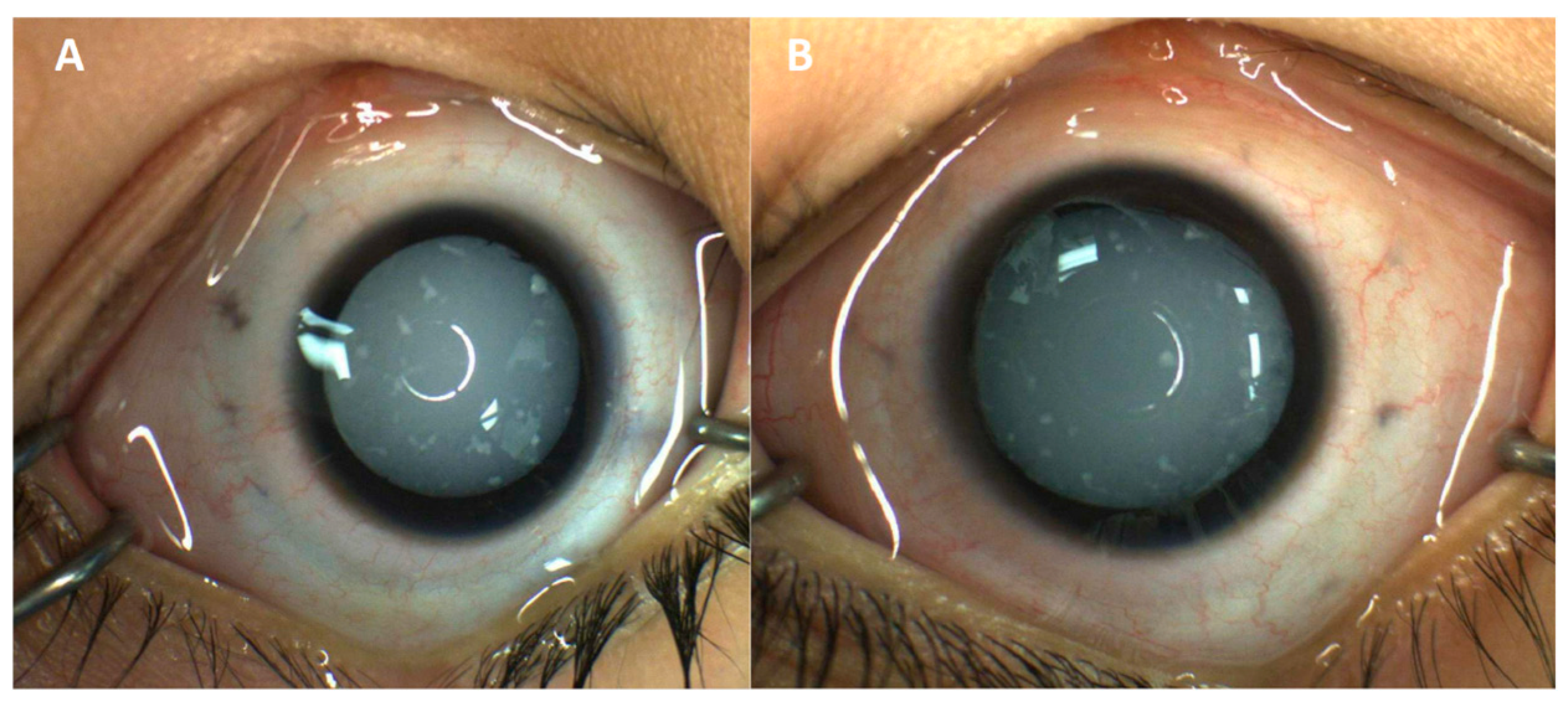 Reports 09 00045 g001 Reports 09 00045 g001