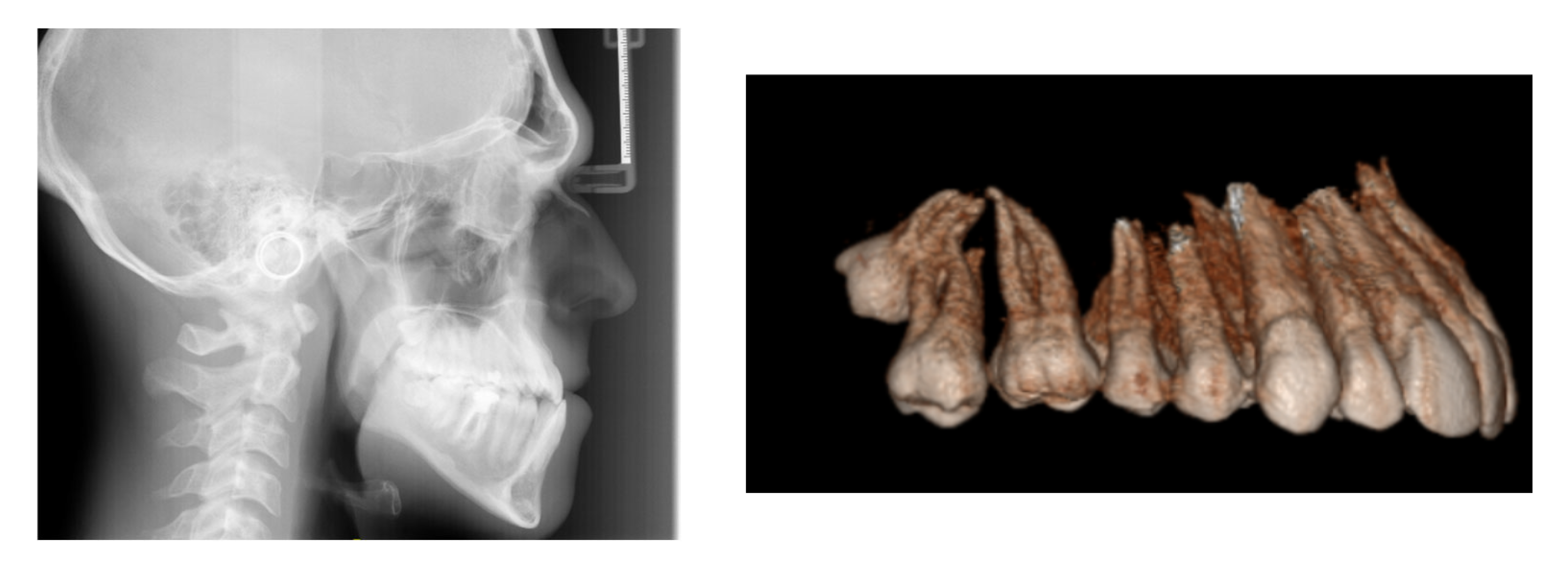 Reports 09 00046 g001b Reports 09 00046 g001b