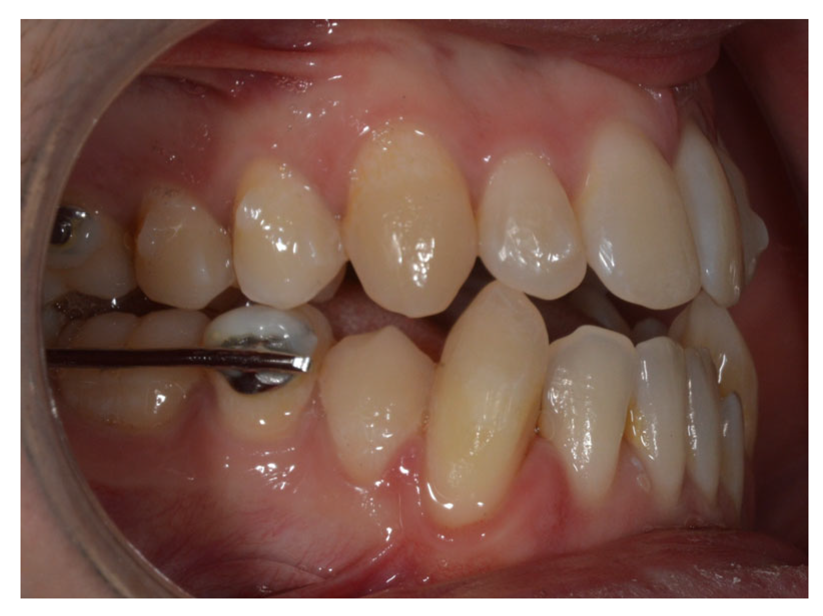 Reports 09 00046 g002 Reports 09 00046 g002