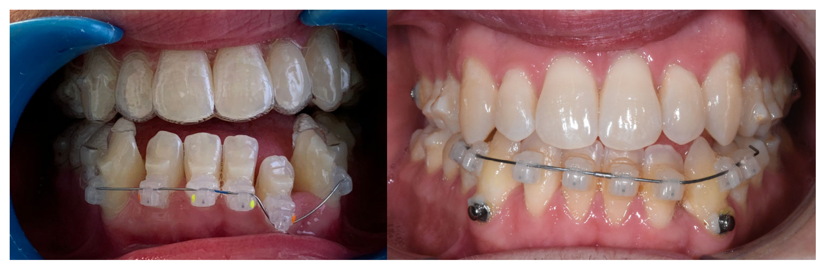 Reports 09 00046 g004 Reports 09 00046 g004