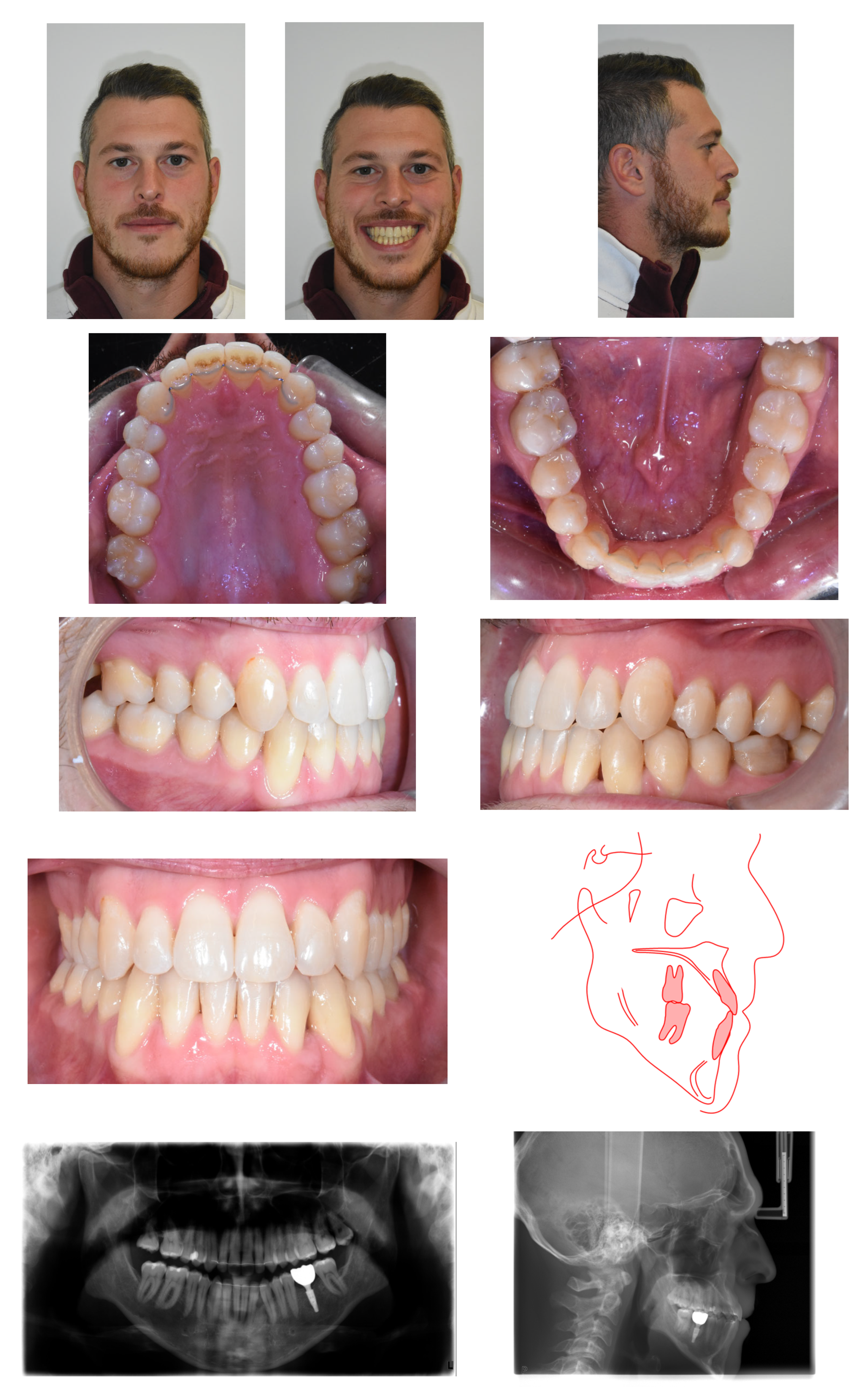 Reports 09 00046 g005 Reports 09 00046 g005