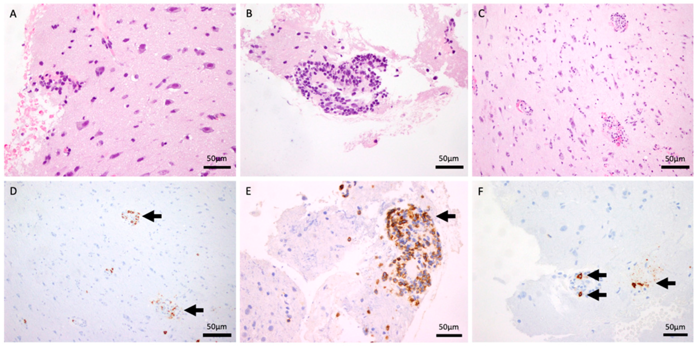 Reports 09 00047 g002 Reports 09 00047 g002