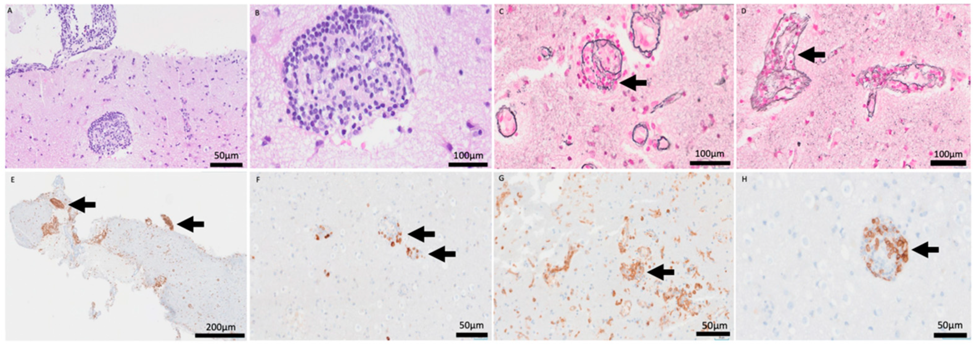 Reports 09 00047 g004 Reports 09 00047 g004