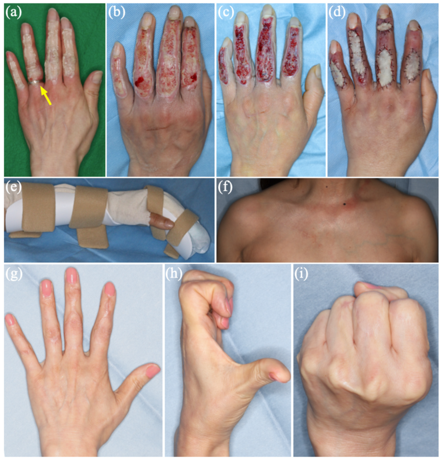 Reports 09 00069 g001