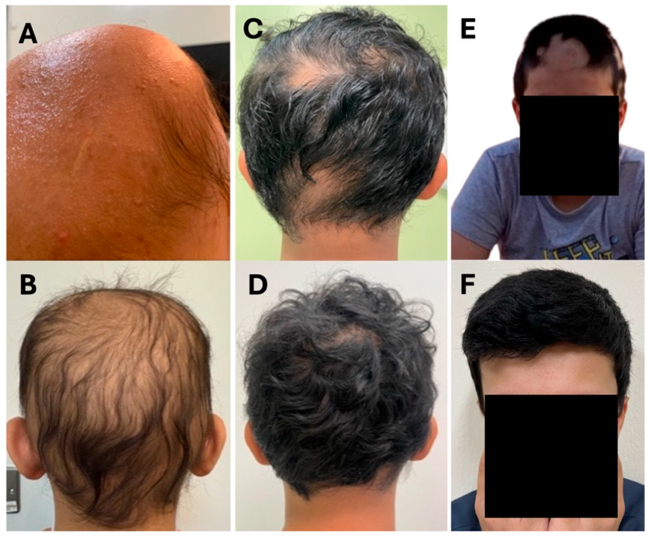 Reports 09 00073 g001