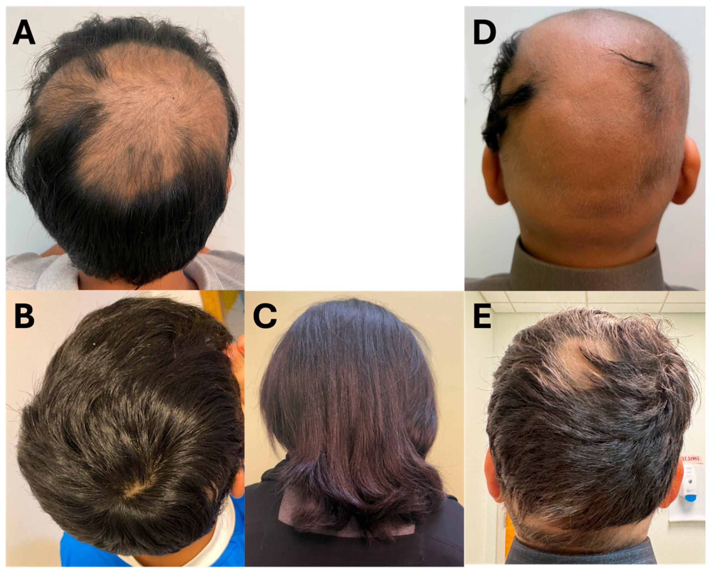 Reports 09 00073 g002