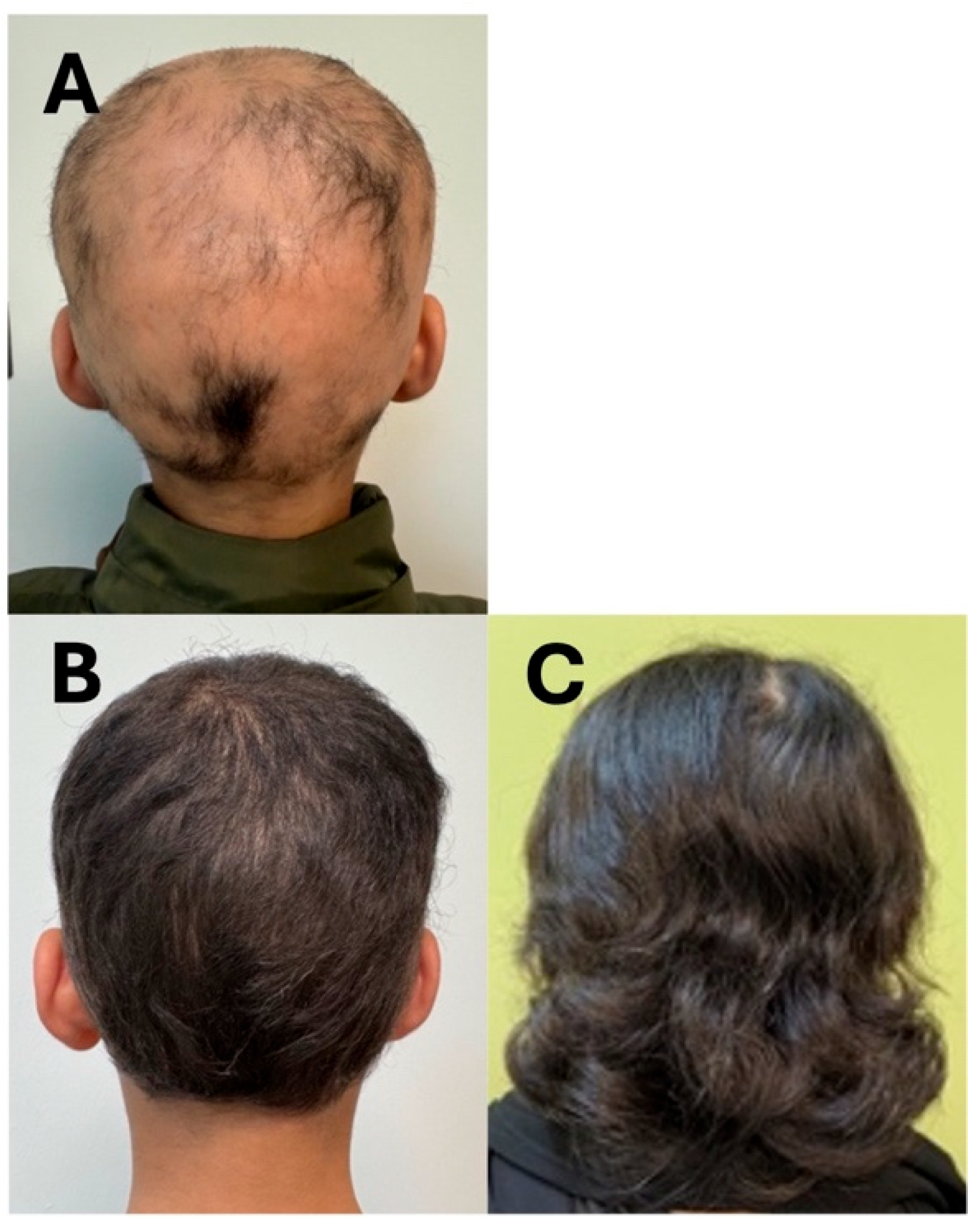 Reports 09 00073 g003