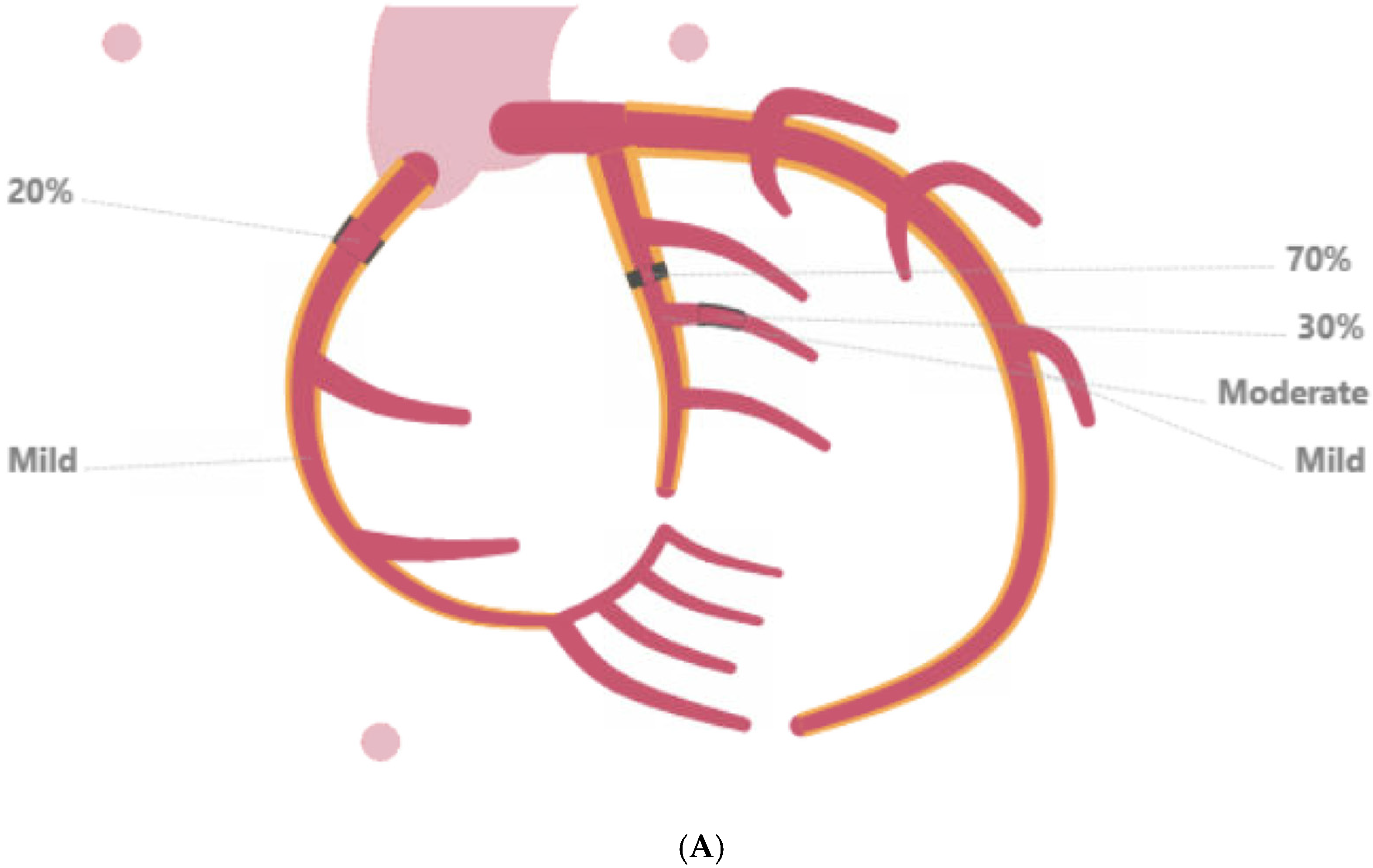 Reports 09 00083 g002a