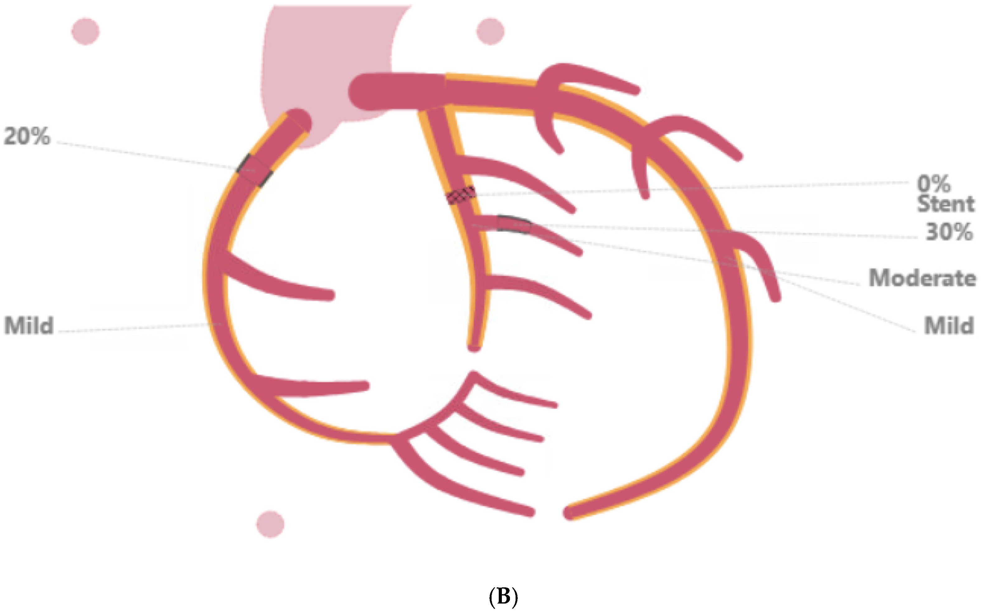 Reports 09 00083 g002b