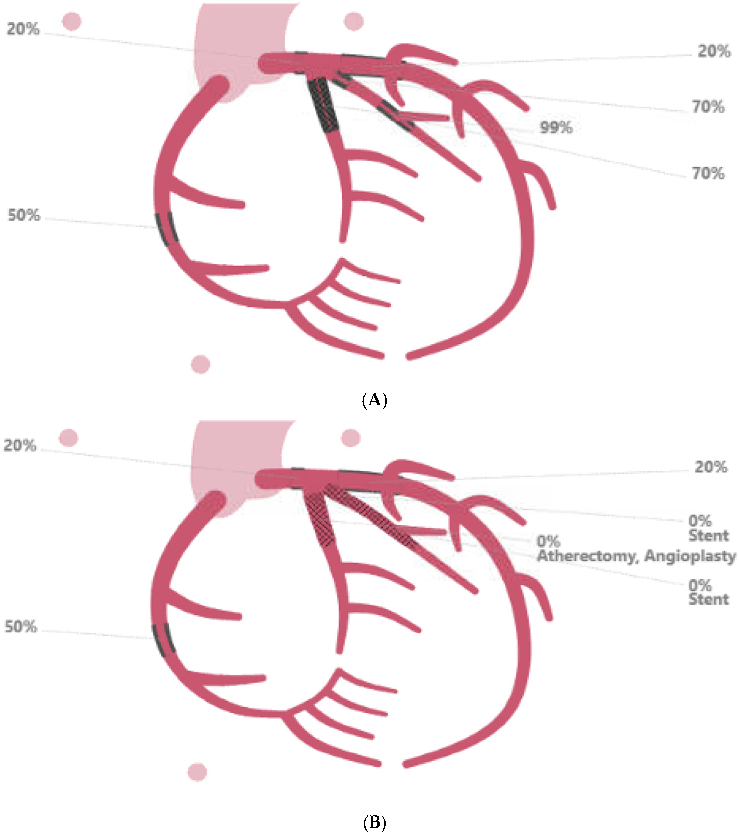 Reports 09 00083 g004