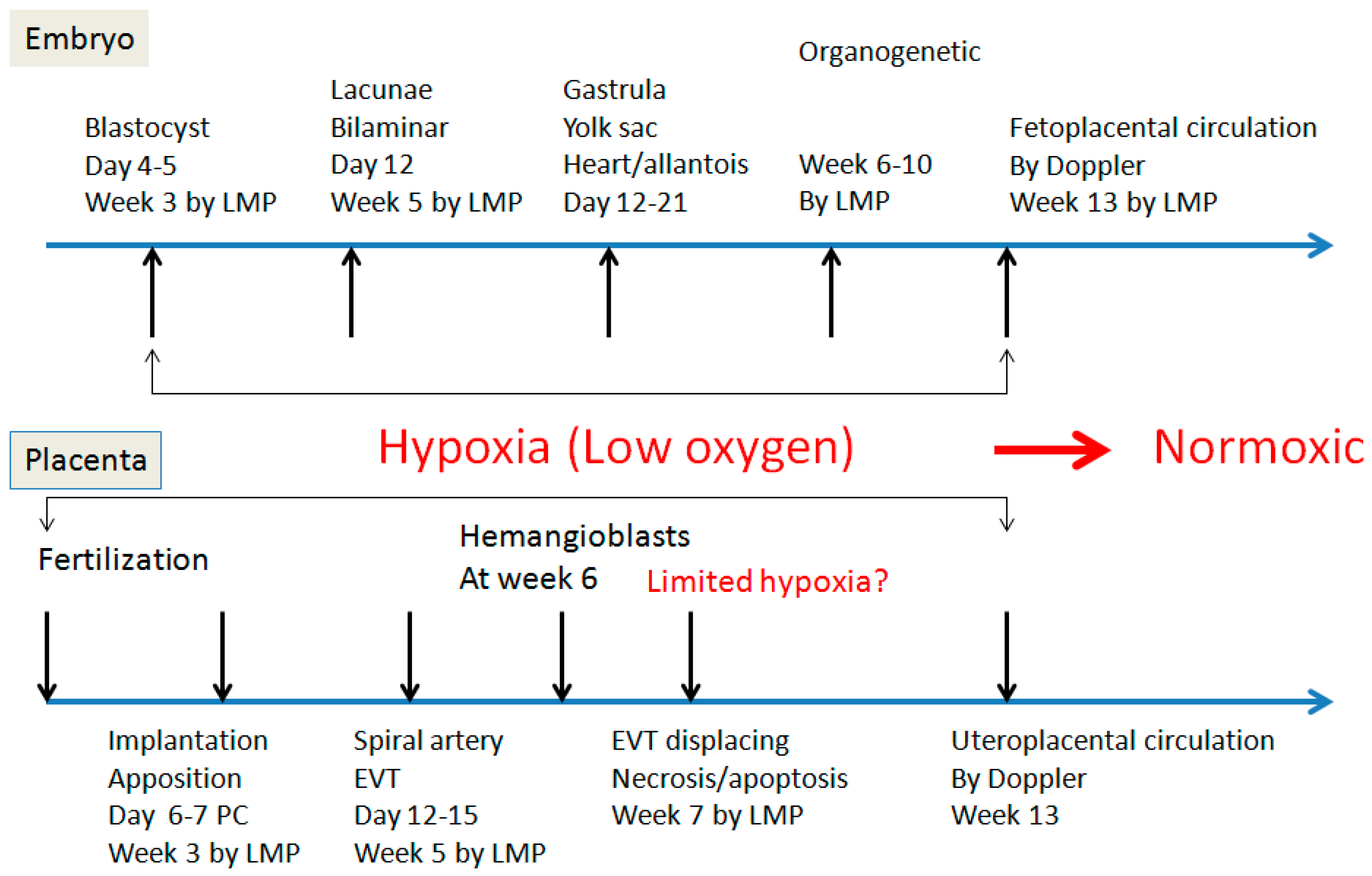 Reprodmed 01 00006 g002