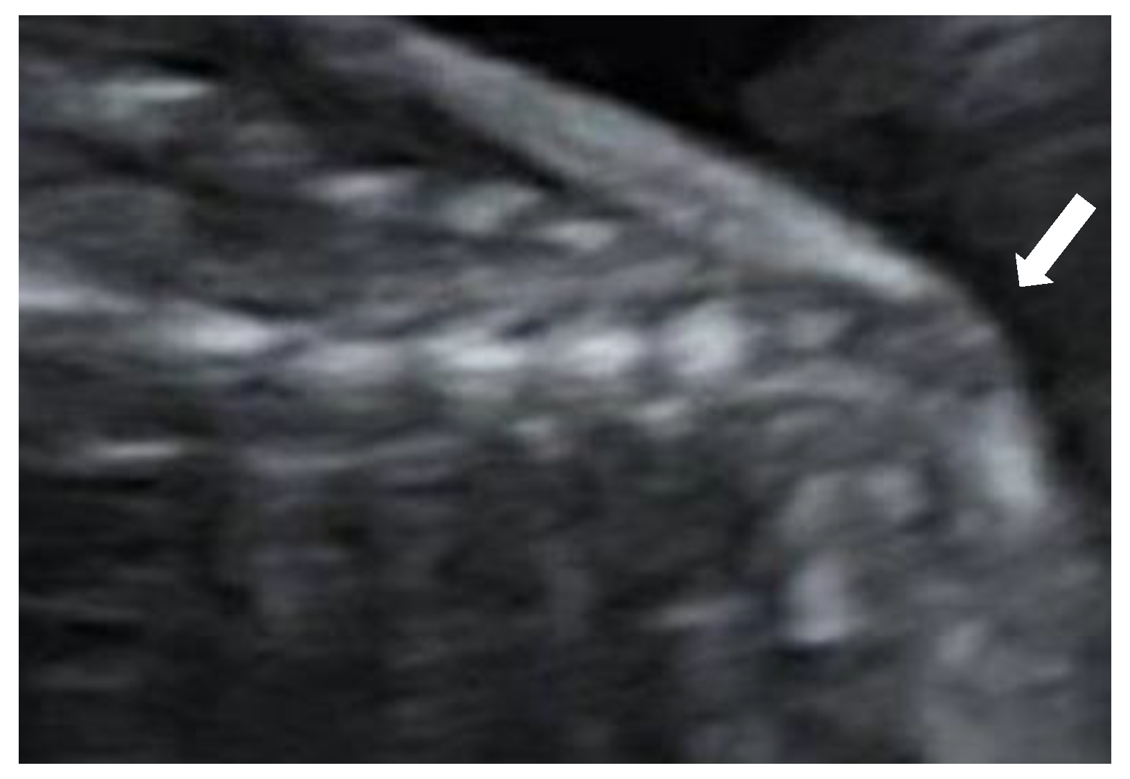 Reprodmed 02 00012 g004