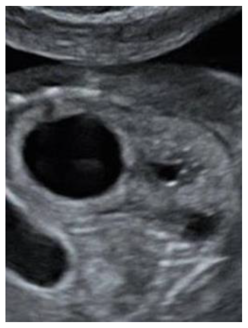 Reprodmed 02 00012 g005