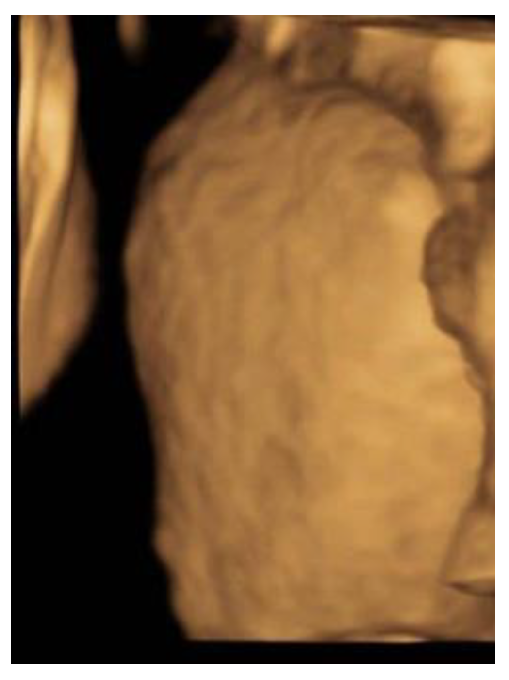 Reprodmed 02 00012 g006