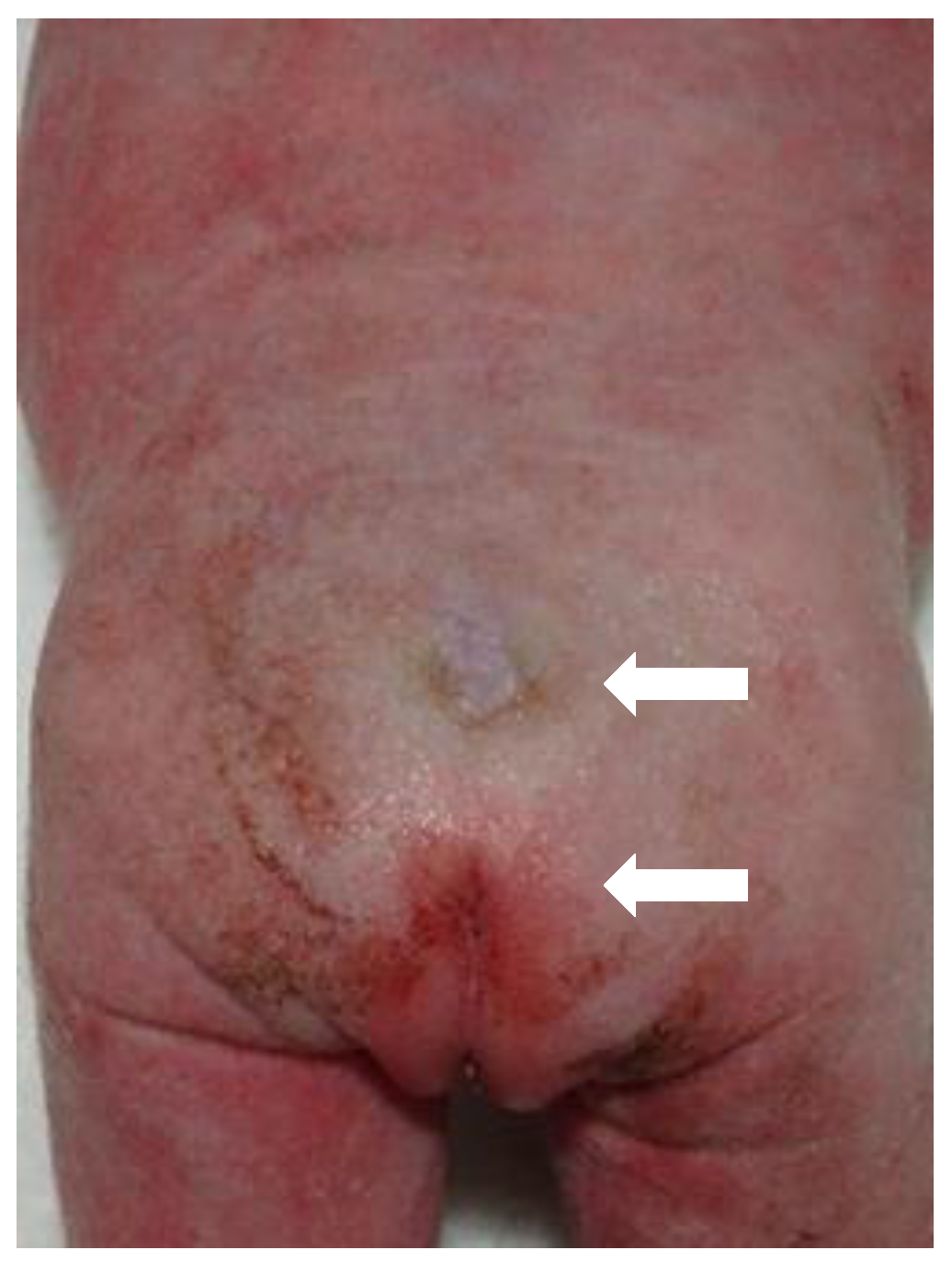 Reprodmed 02 00012 g007