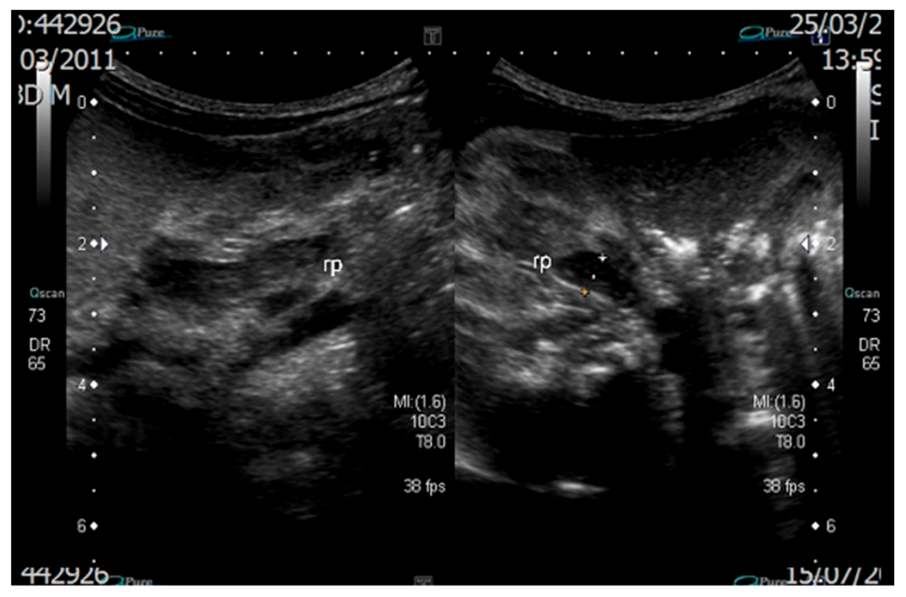 Reprodmed 02 00017 g002