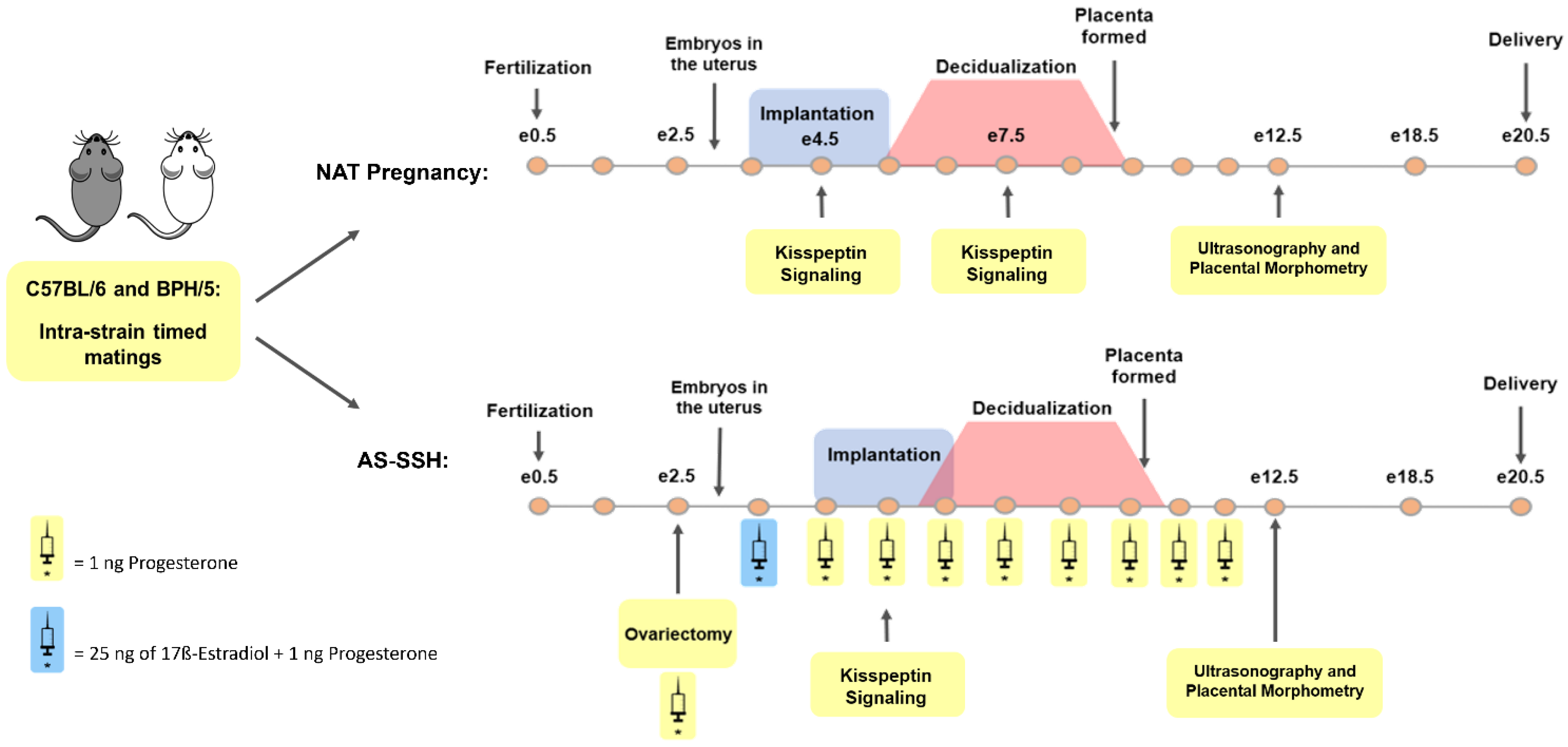 Reprodmed 03 00021 g001