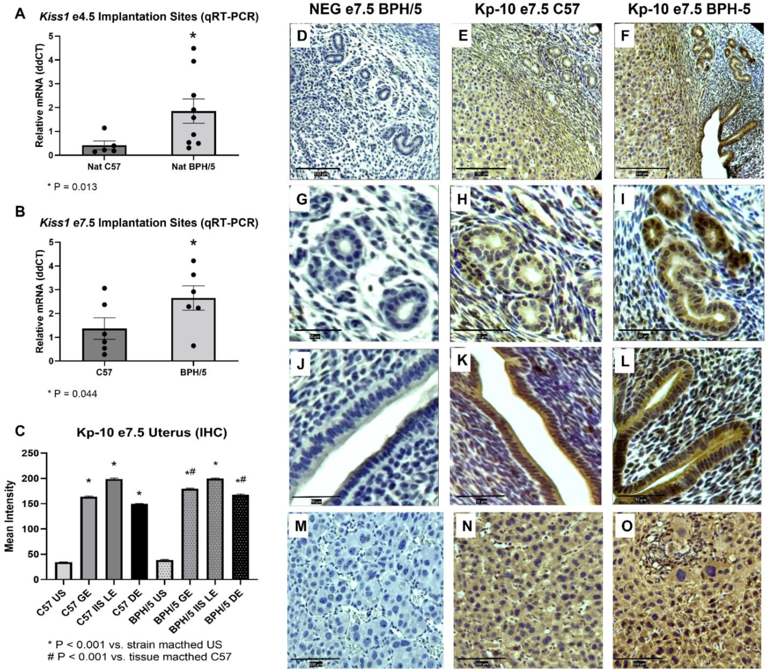 Reprodmed 03 00021 g003