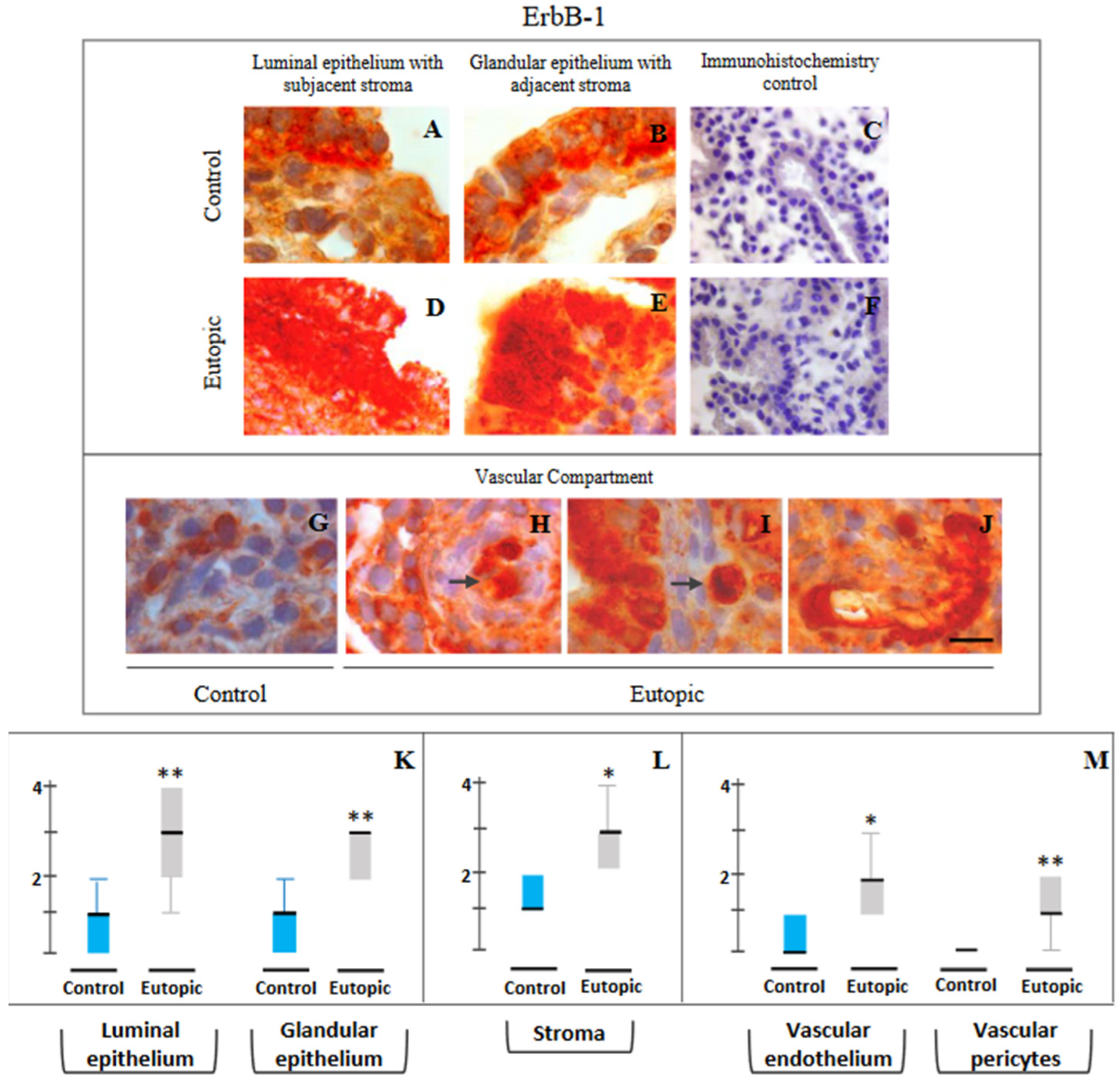 Reprodmed 03 00022 g002