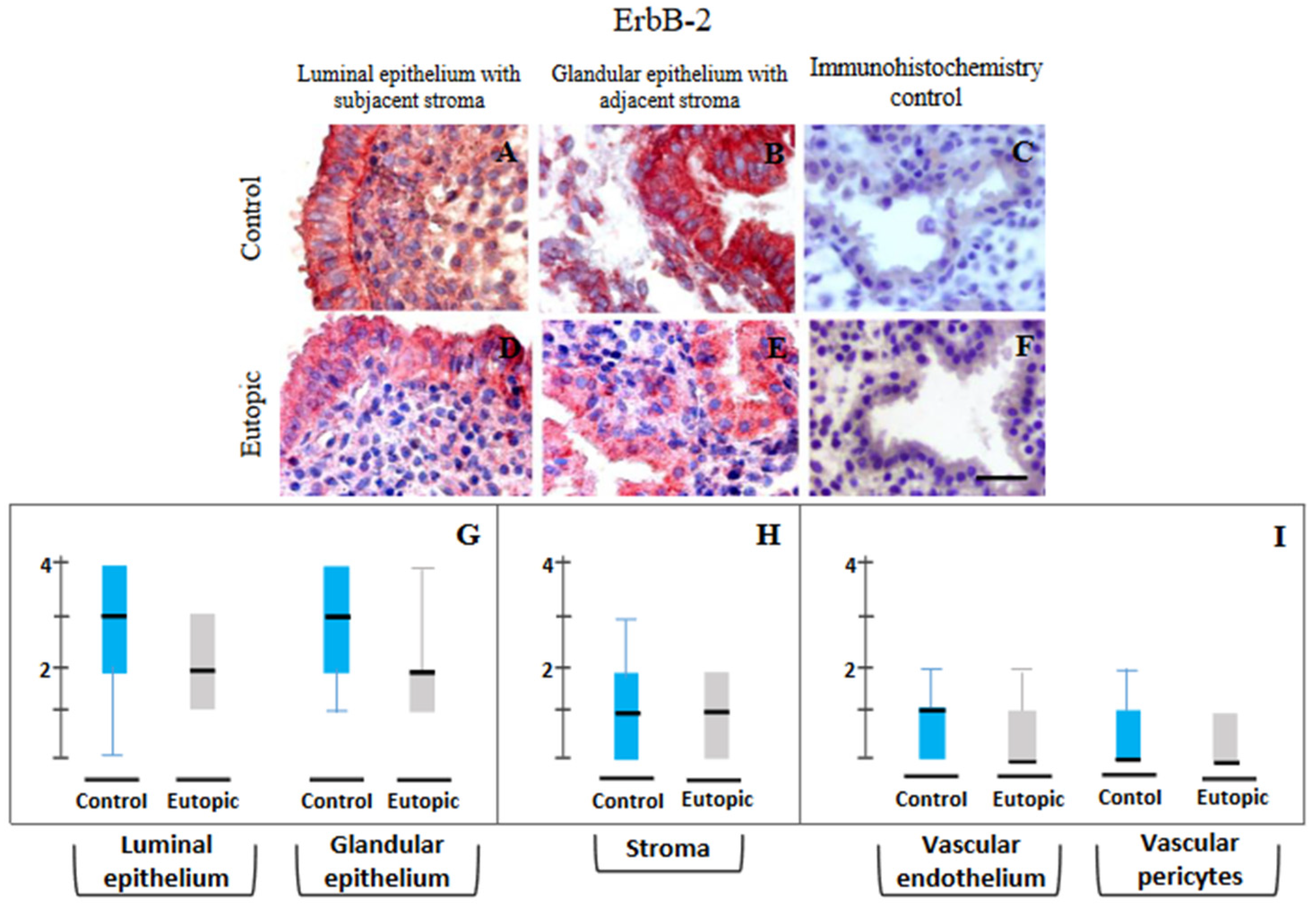 Reprodmed 03 00022 g003