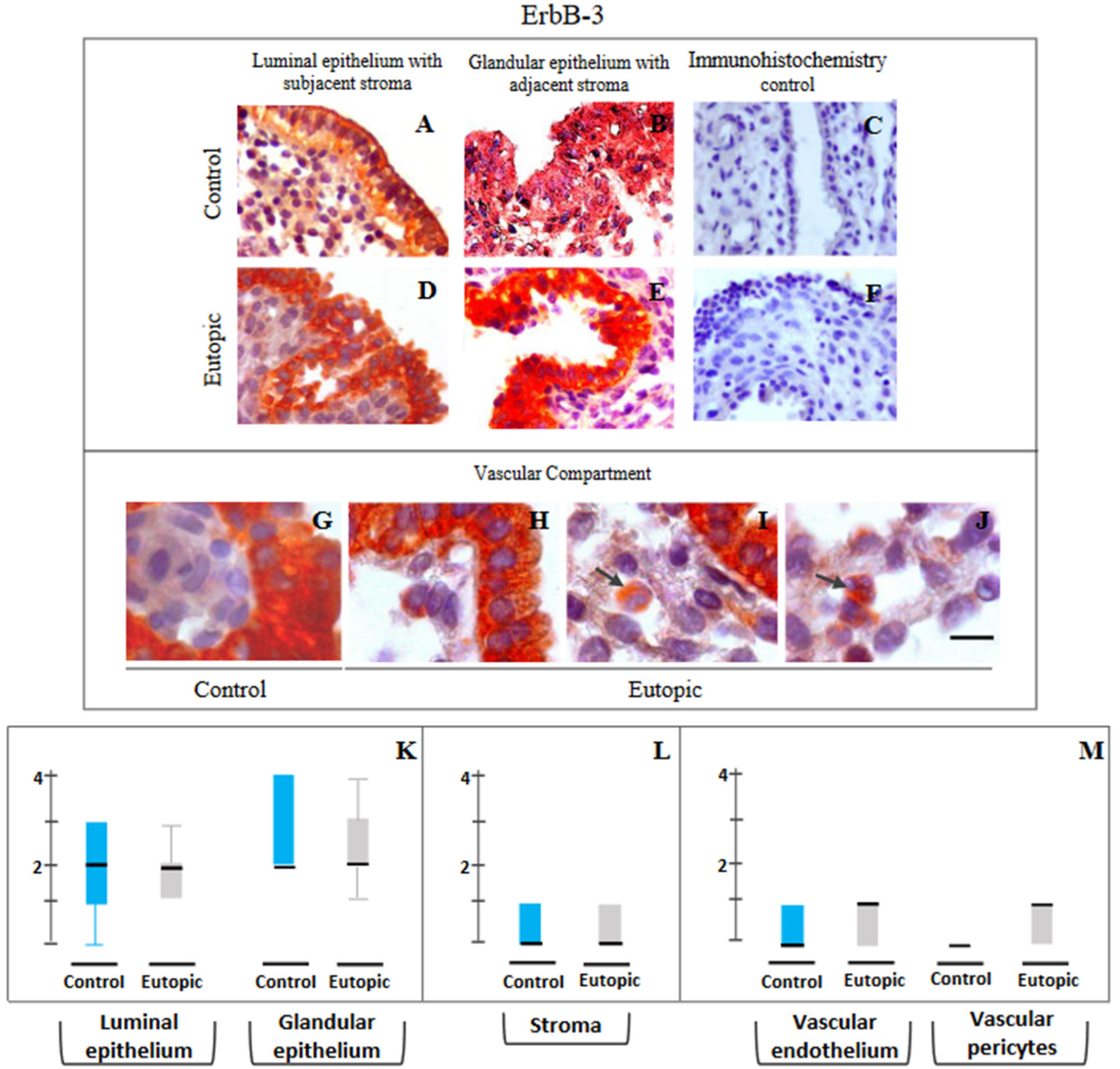 Reprodmed 03 00022 g004