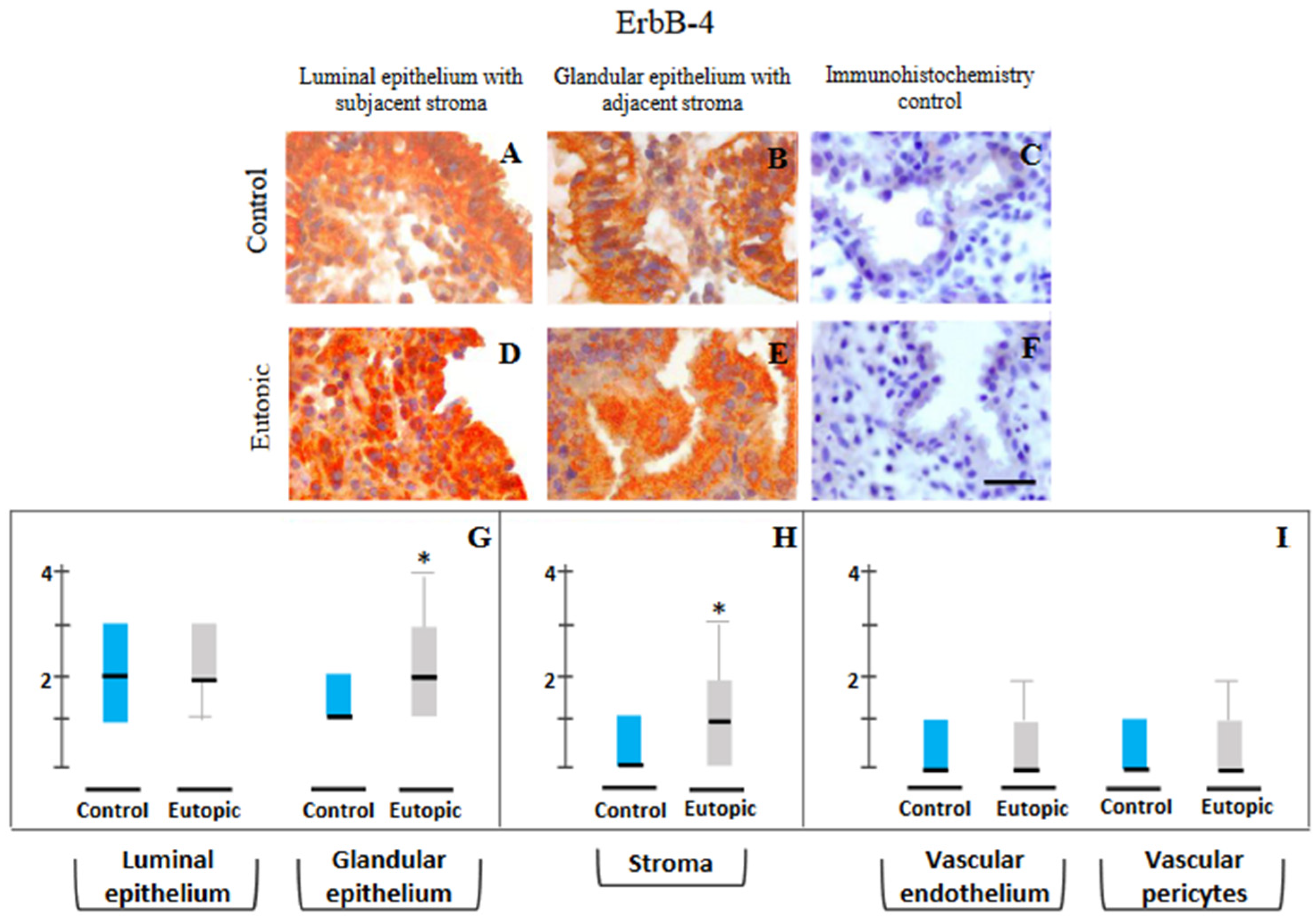 Reprodmed 03 00022 g005