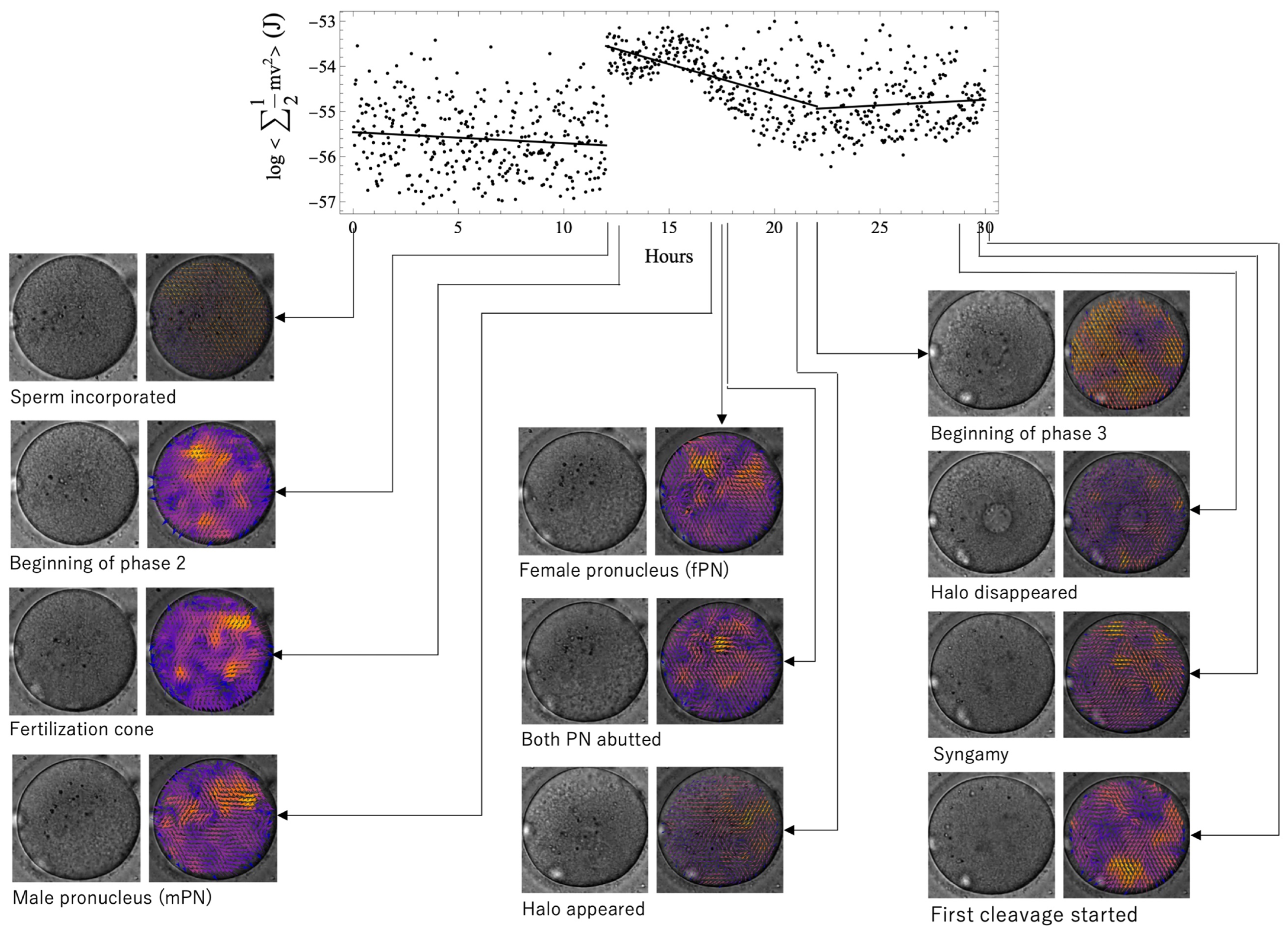Reprodmed 05 00008 g002