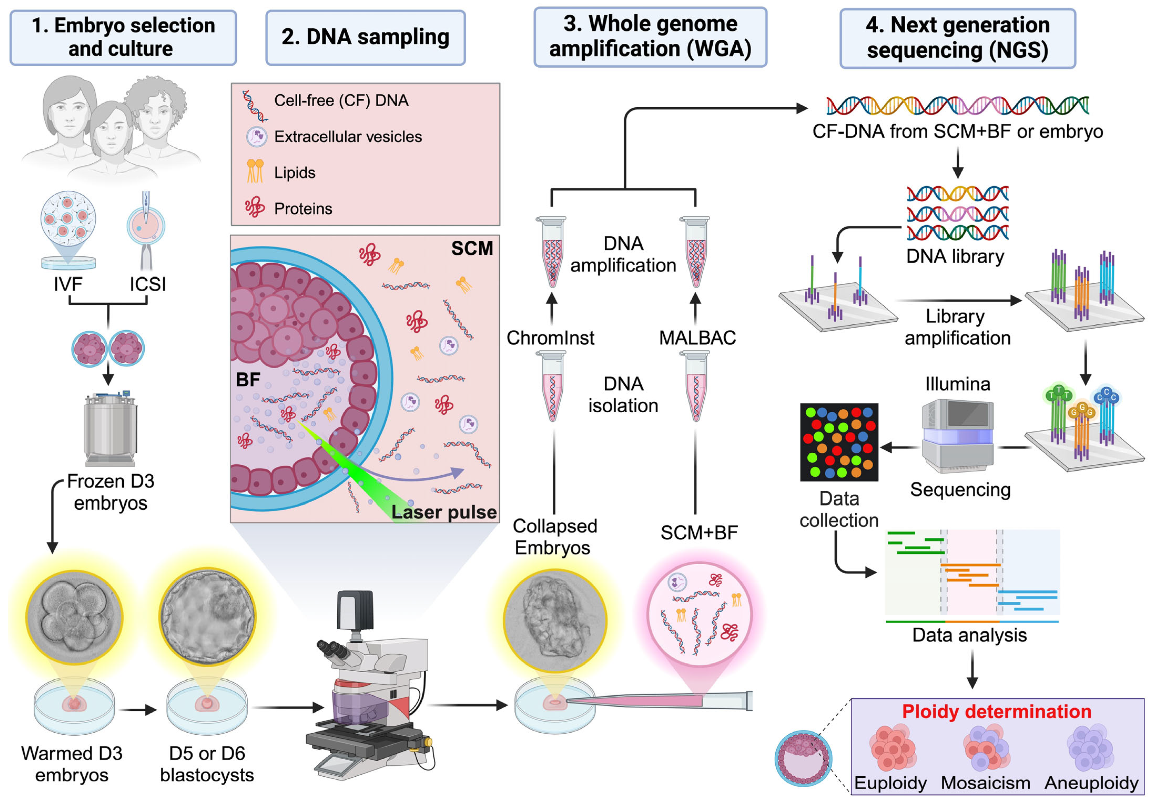 Reprodmed 05 00011 g001
