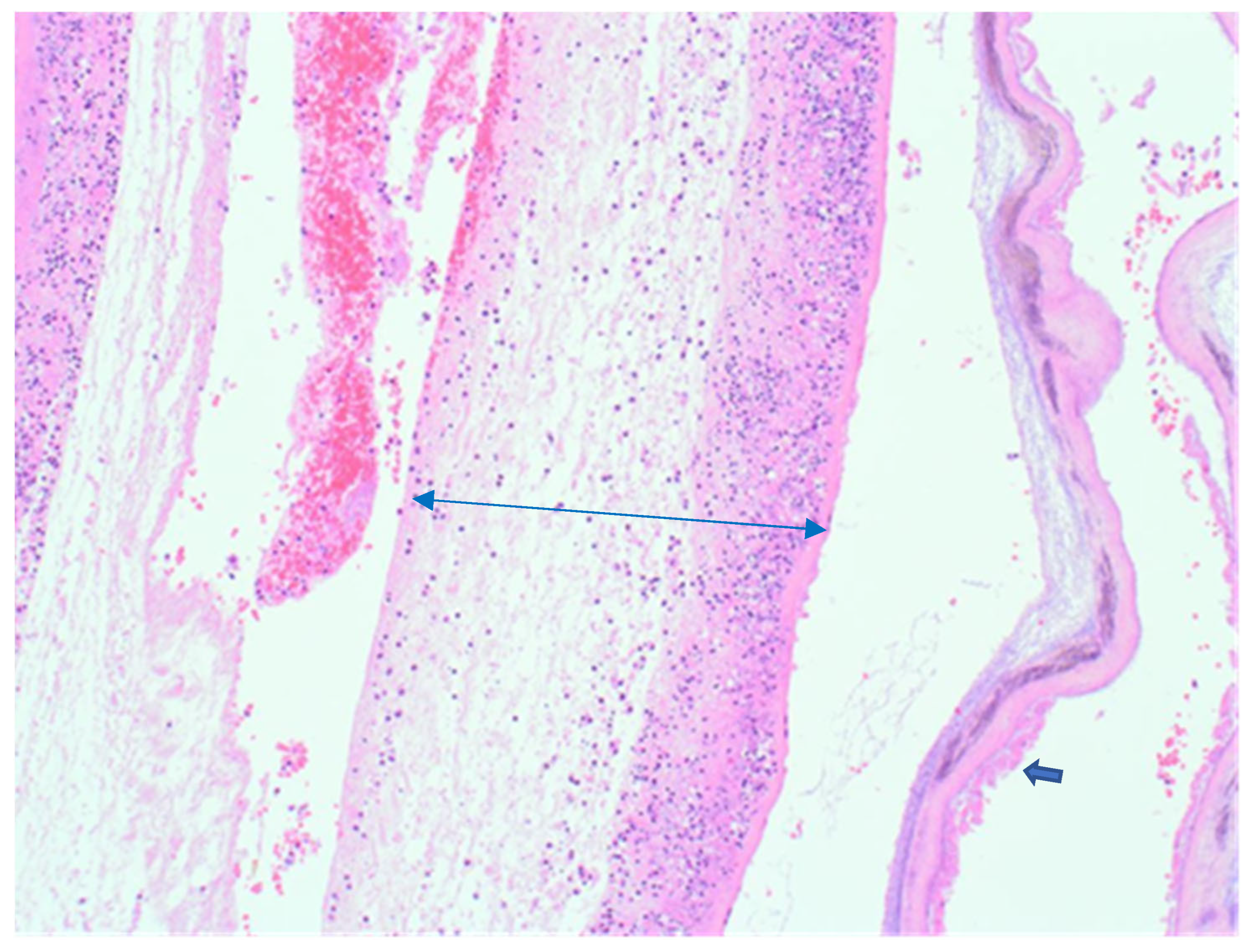 Reprodmed 06 00007 g001