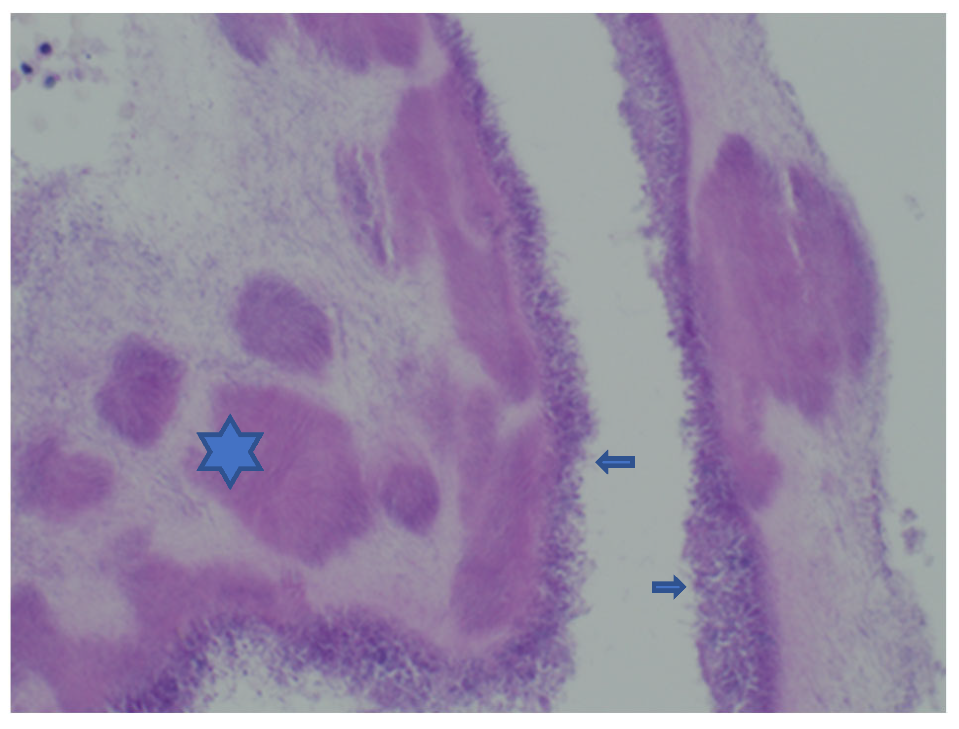 Reprodmed 06 00007 g002