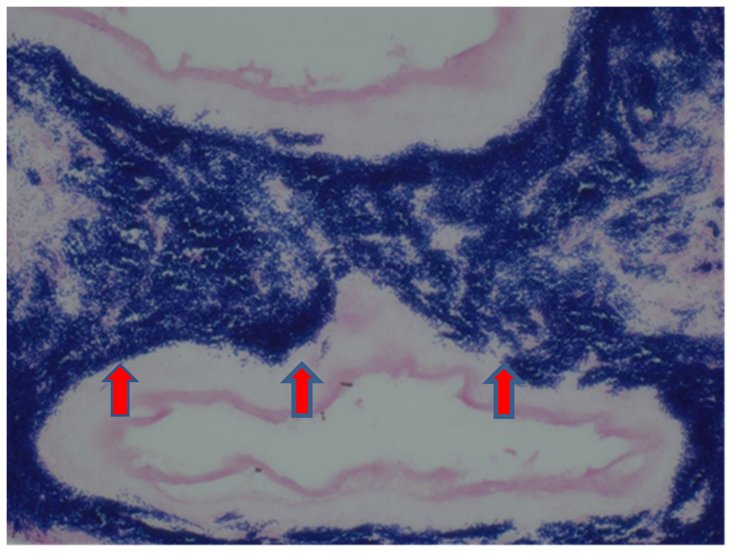 Reprodmed 06 00007 g003