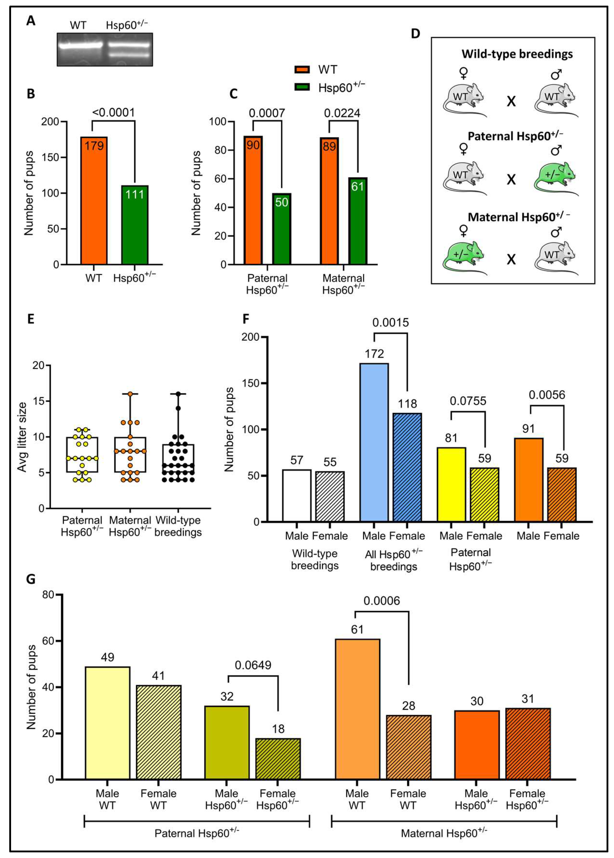 Reprodmed 06 00016 g001