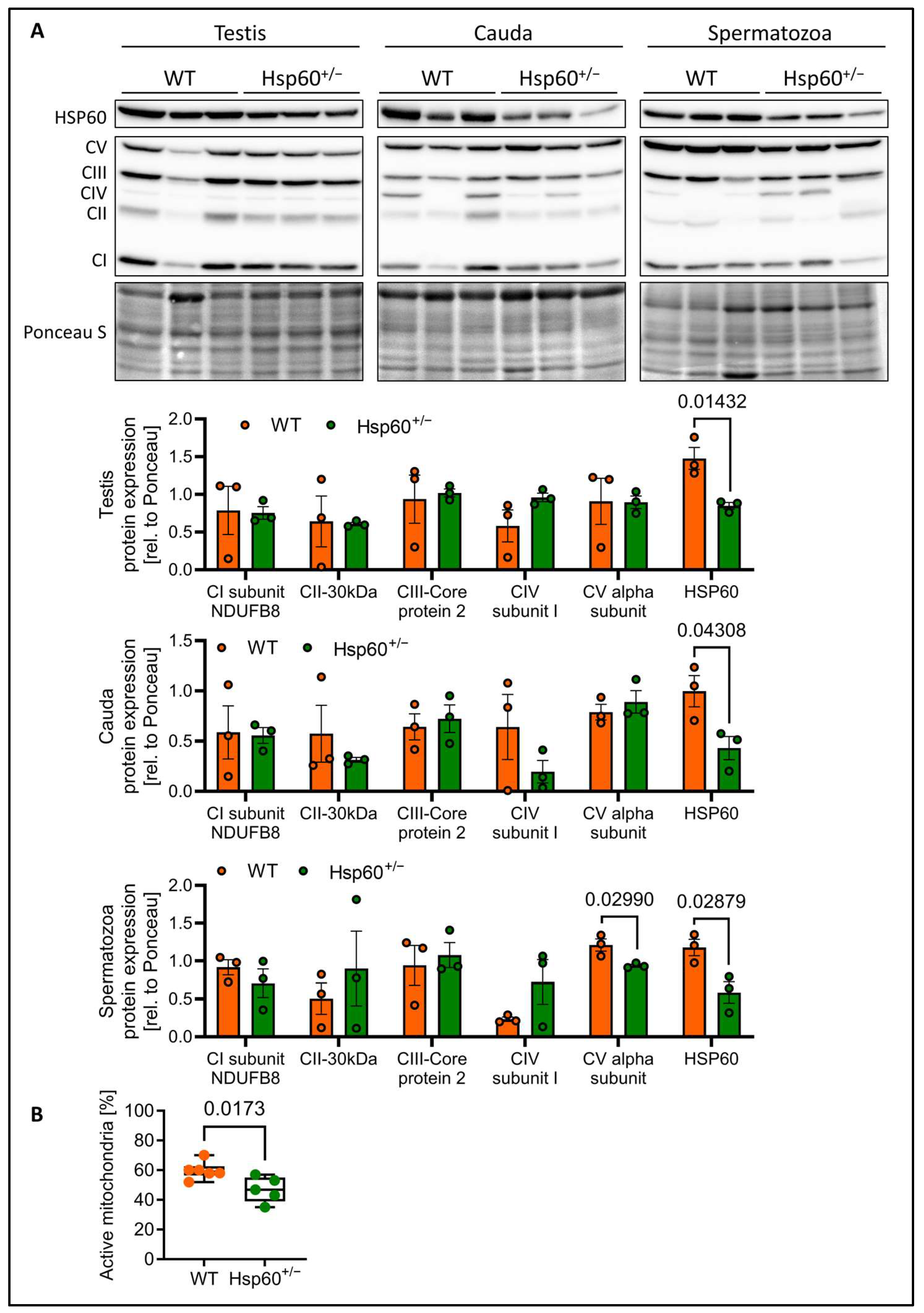 Reprodmed 06 00016 g004