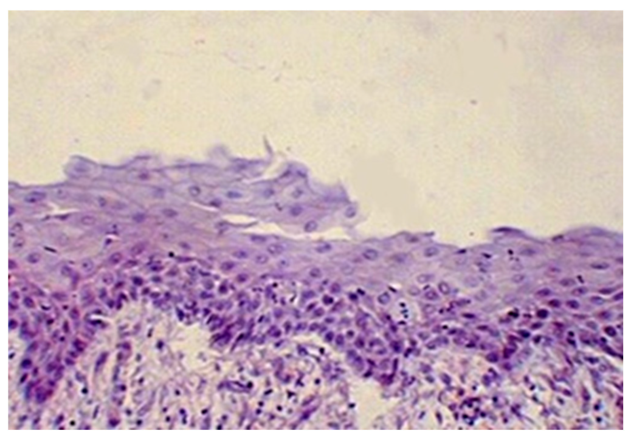 Reprodmed 06 00024 g002 Reprodmed 06 00024 g002